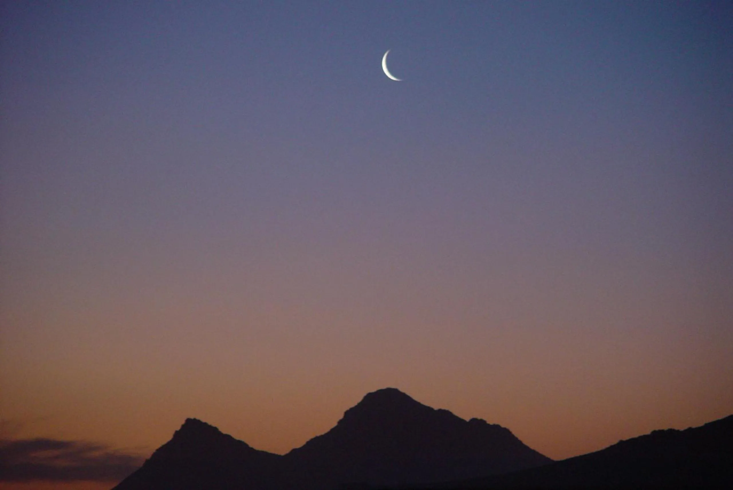 View (from property/room) in Jack's Seaview