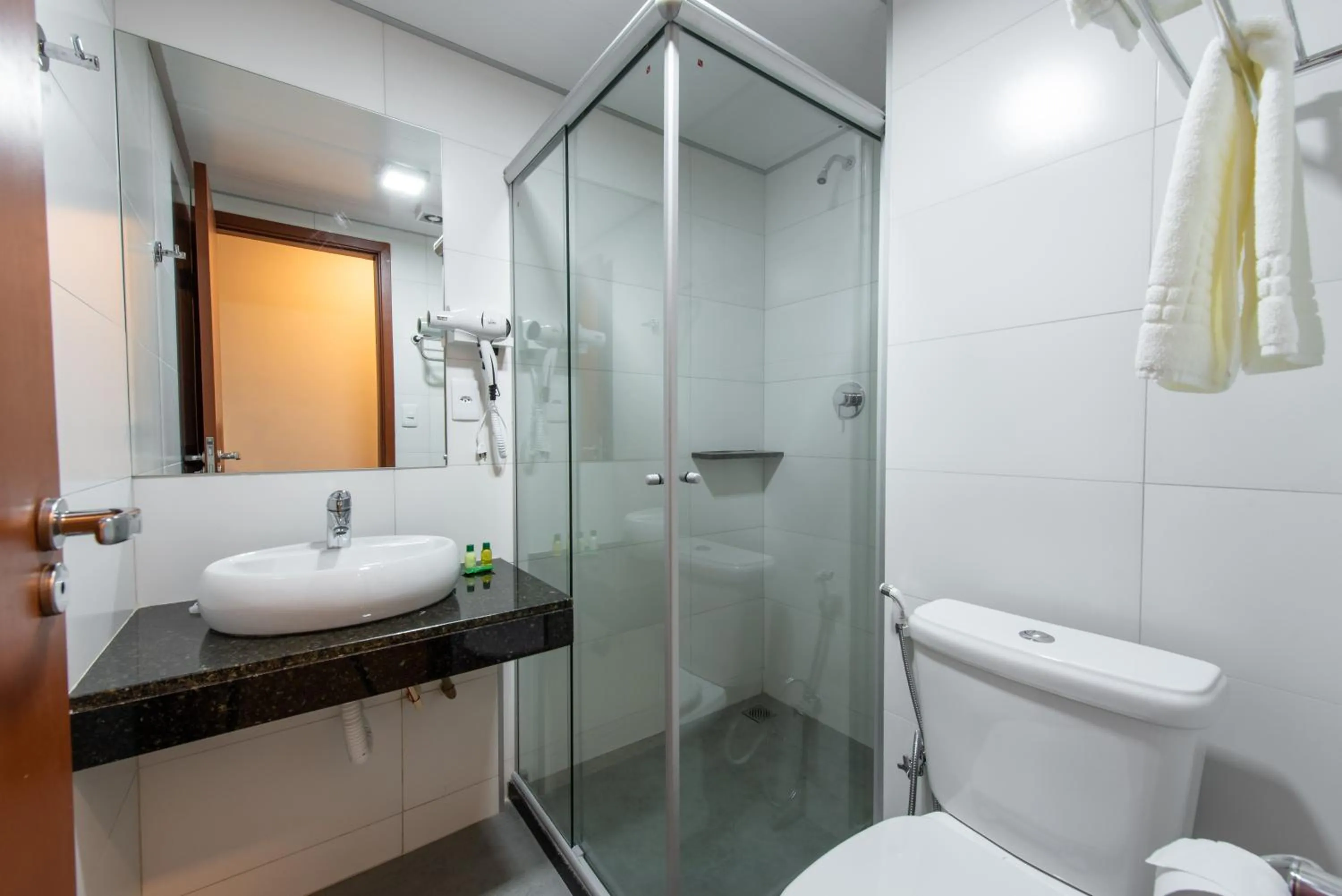 Double Room - single occupancy in Via Garden Varginha Hotel