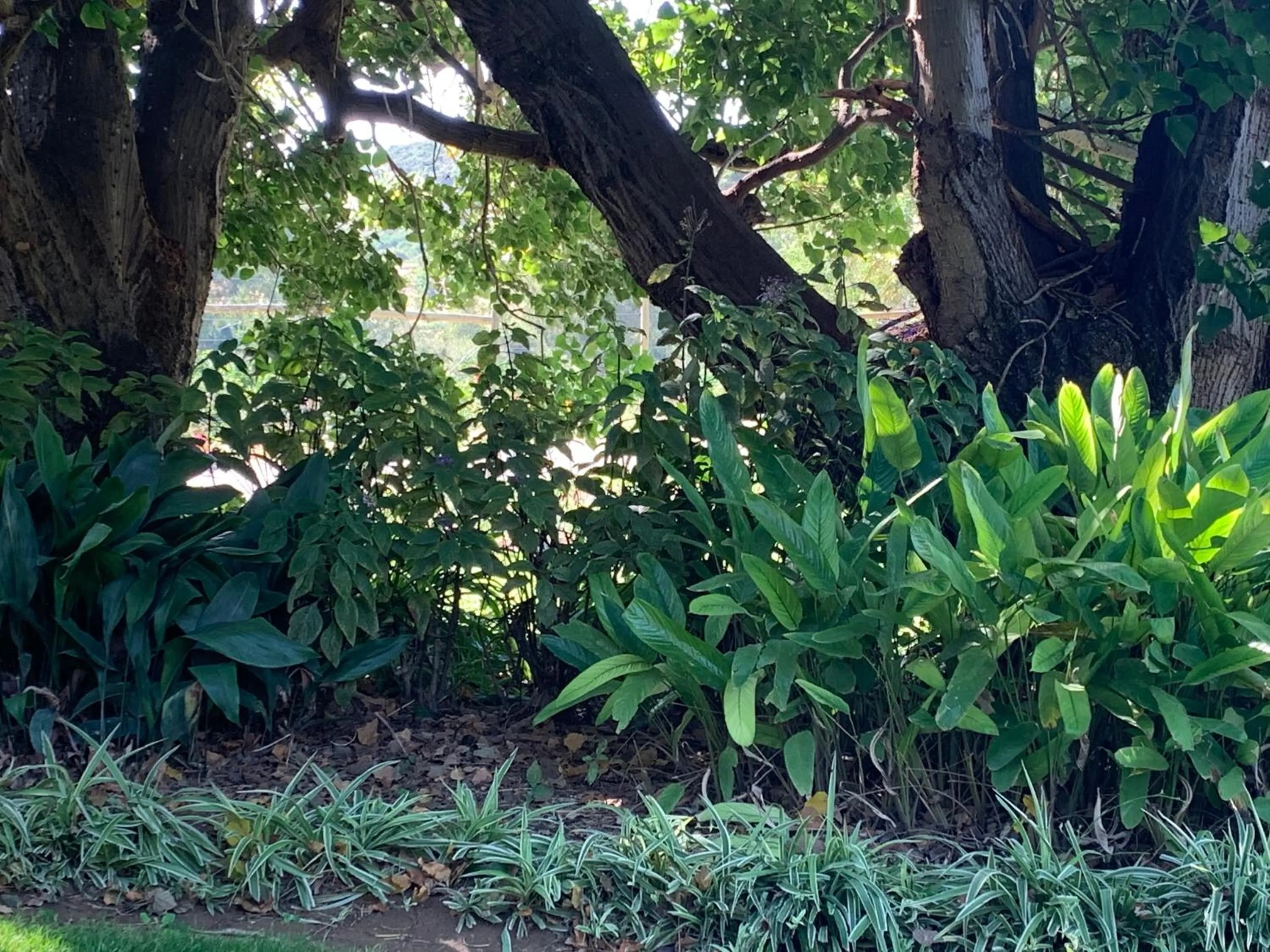 Property building in Happy Lands Farmstay