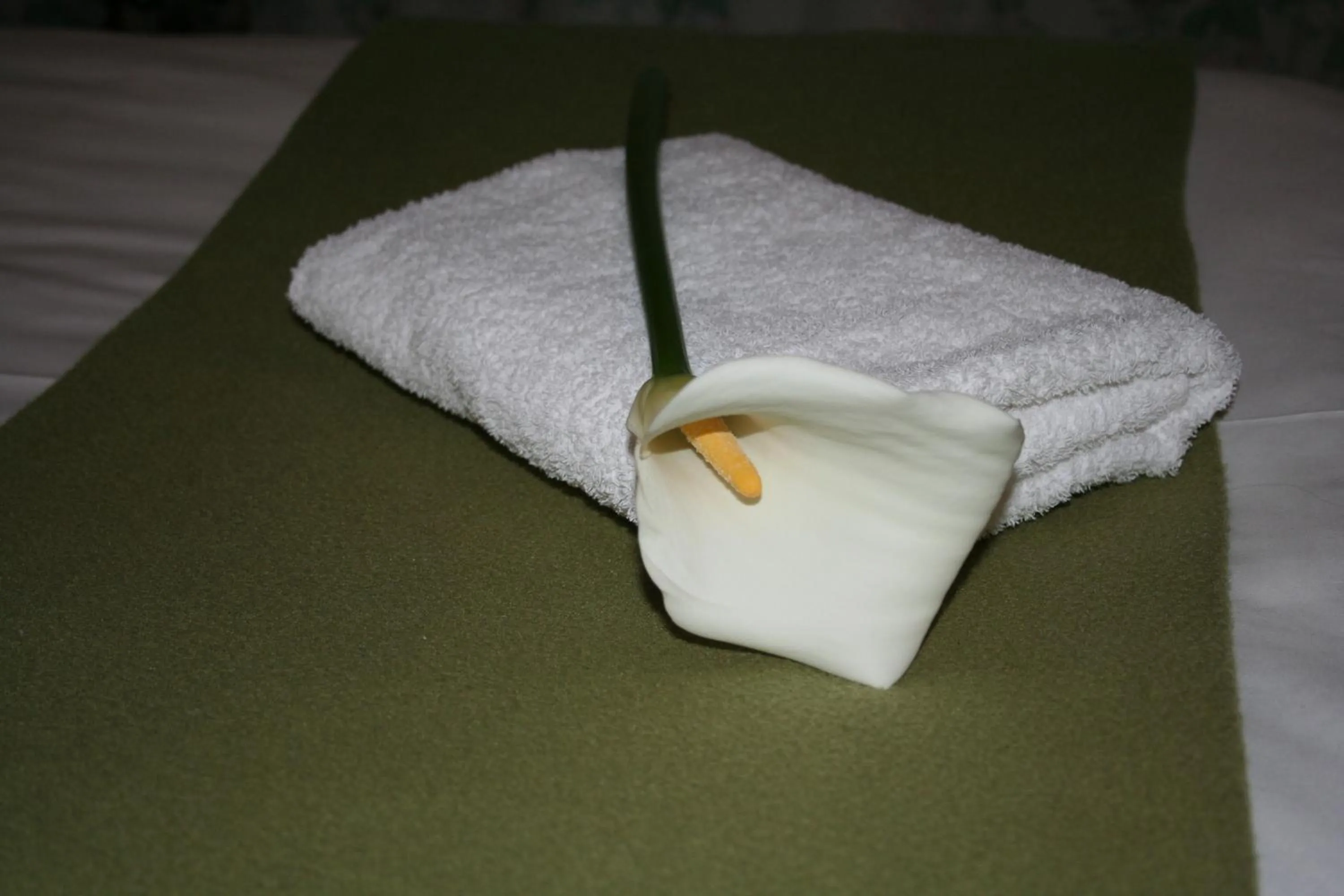 Bed in Karoopark Guest House