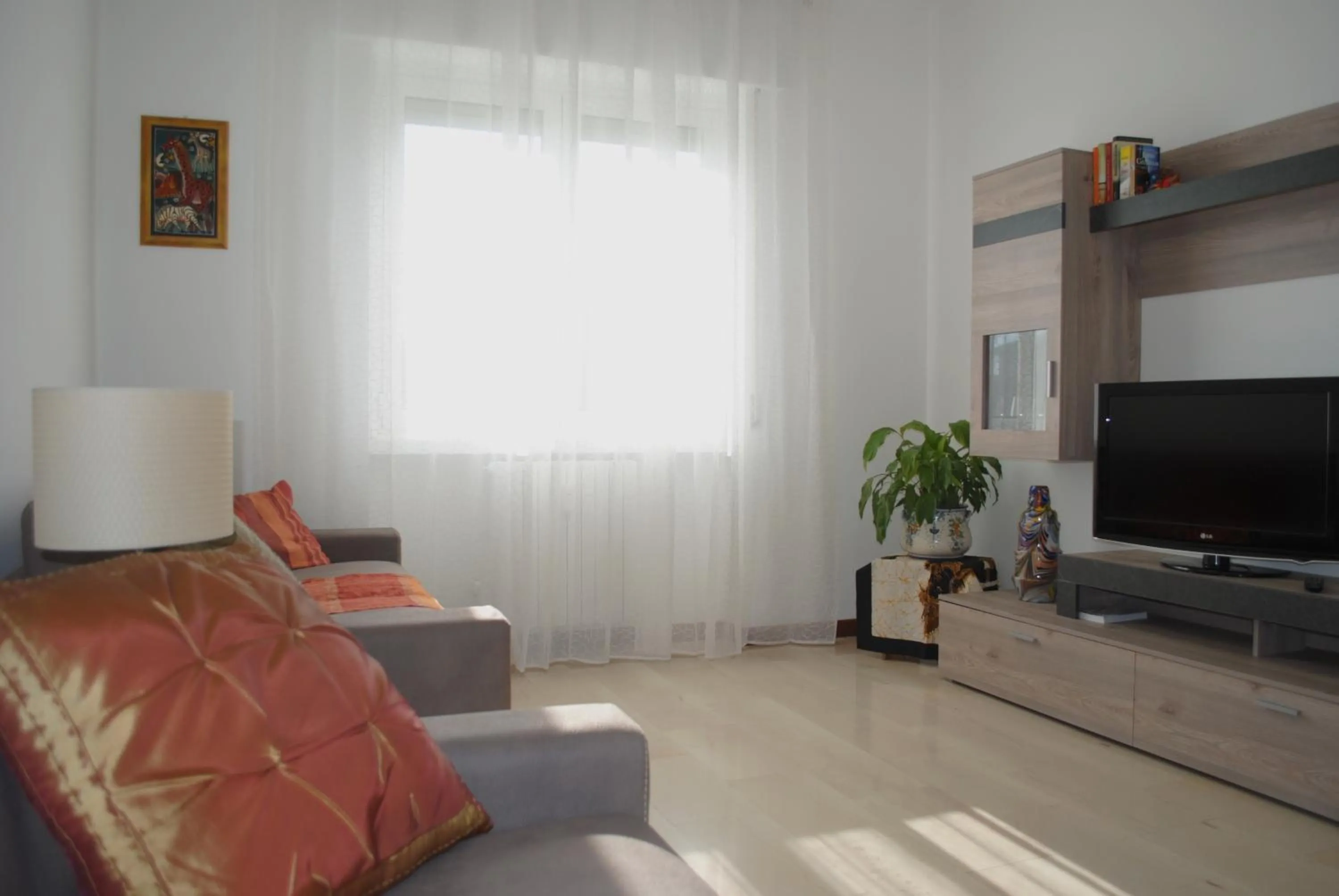 TV and multimedia in Bnbook-Costantino