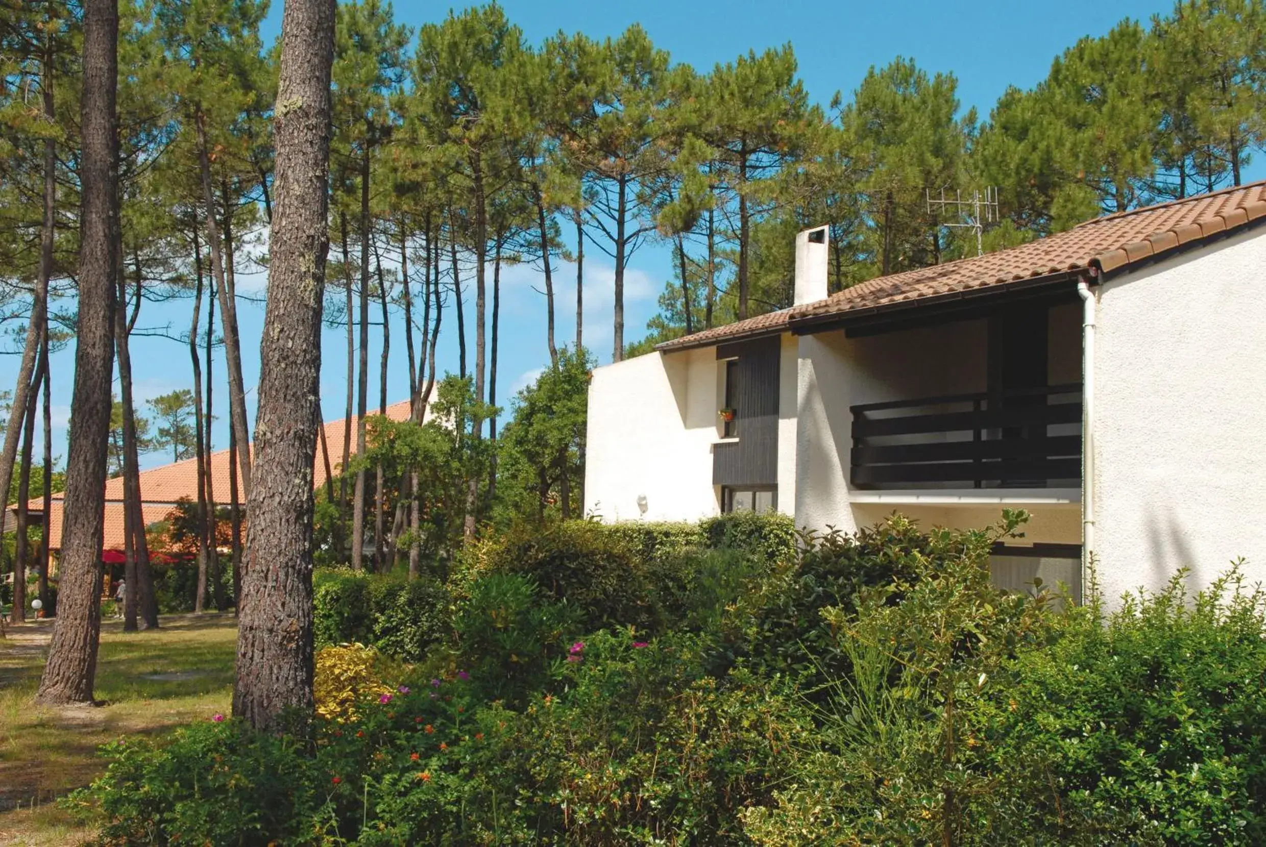 Garden view in Résidence Vacances Bleues Domaine de l'Agréou Garden view in Résidence Vacances Bleues Domaine de l'Agréou