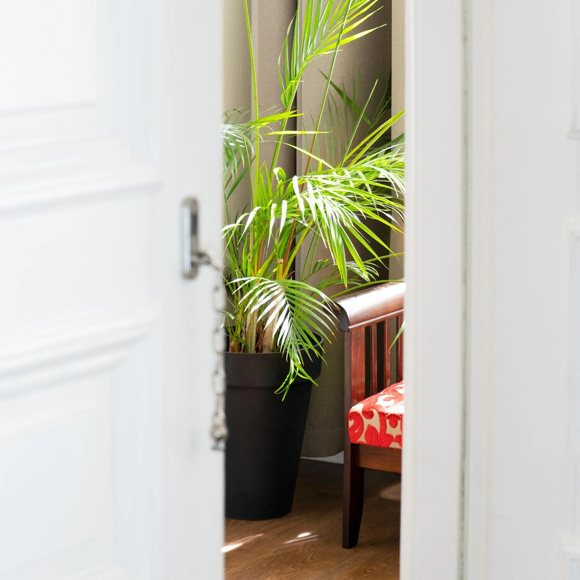 Decorative detail in TIFLIS OPERA Aparthotel