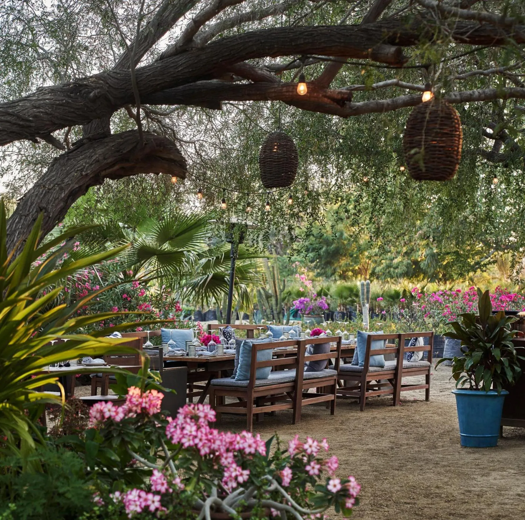 Restaurant/places to eat in Four Seasons Resort Los Cabos