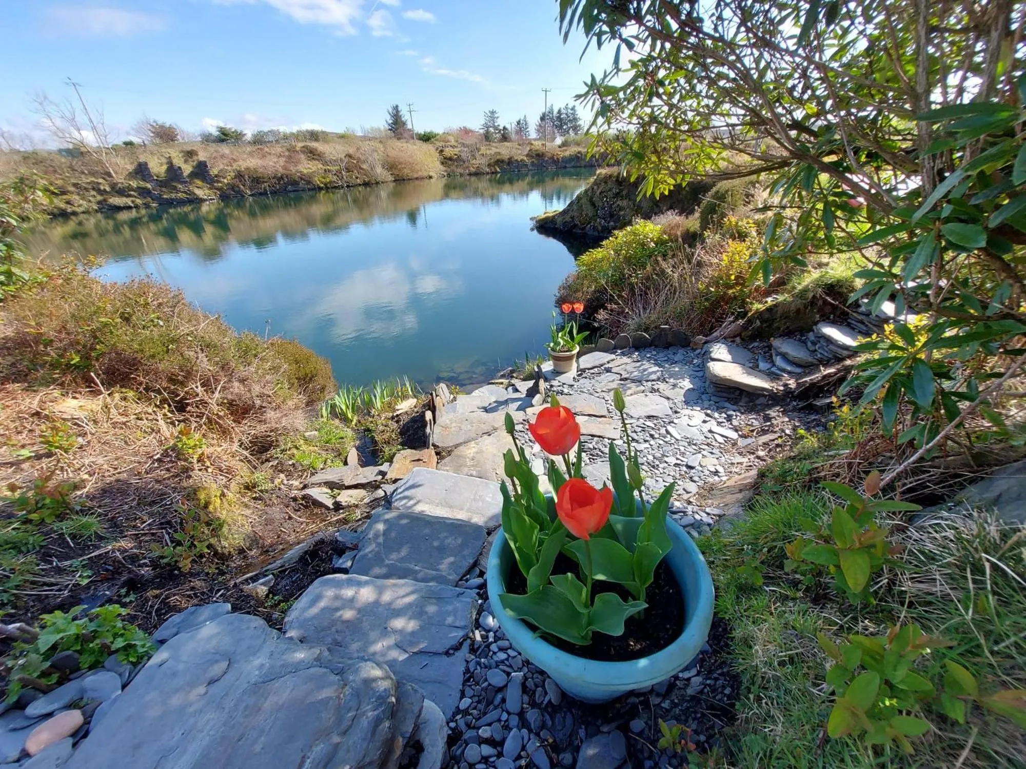 Garden in Garragh Mhor