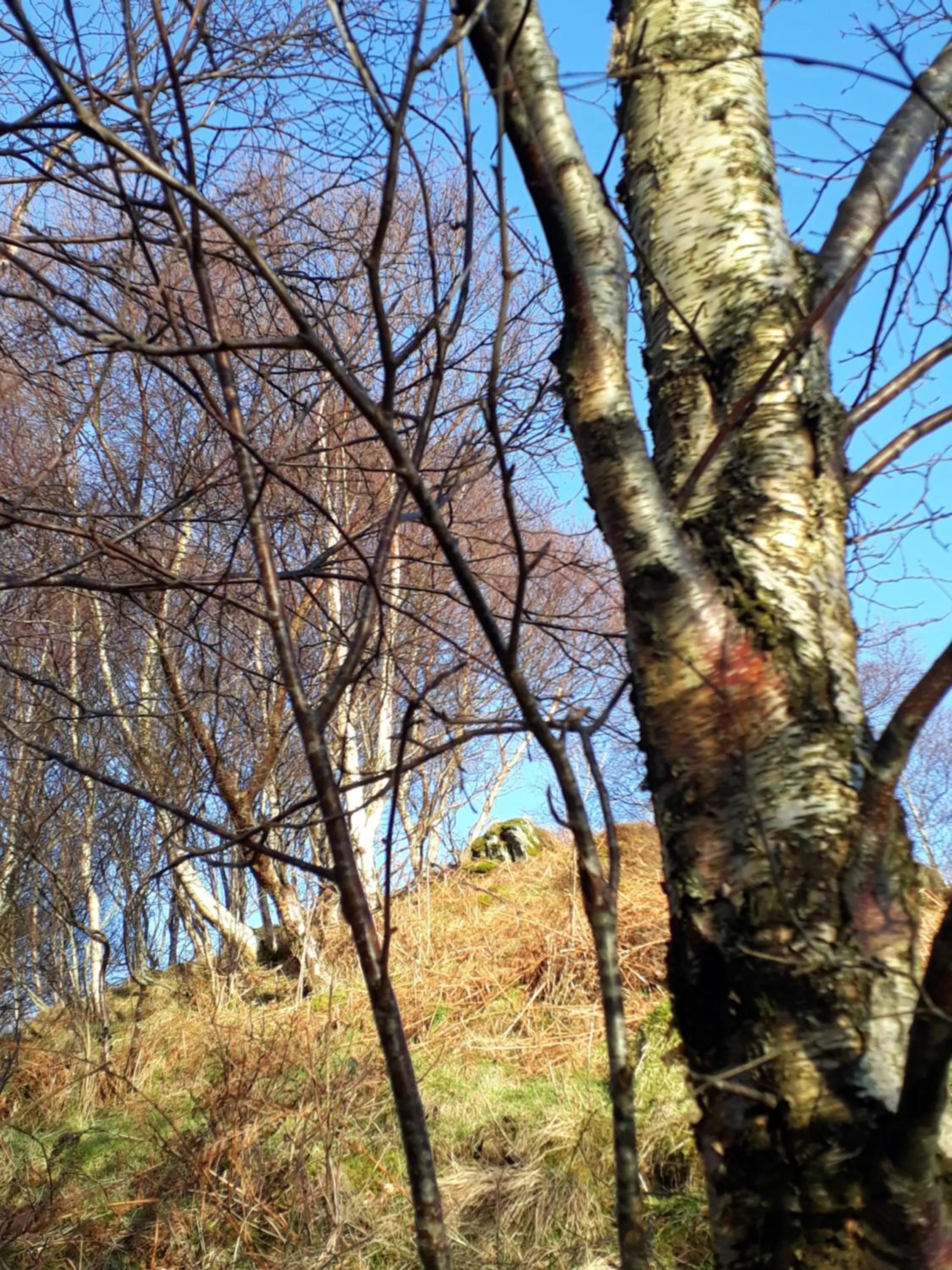 Nearby landmark in Garragh Mhor