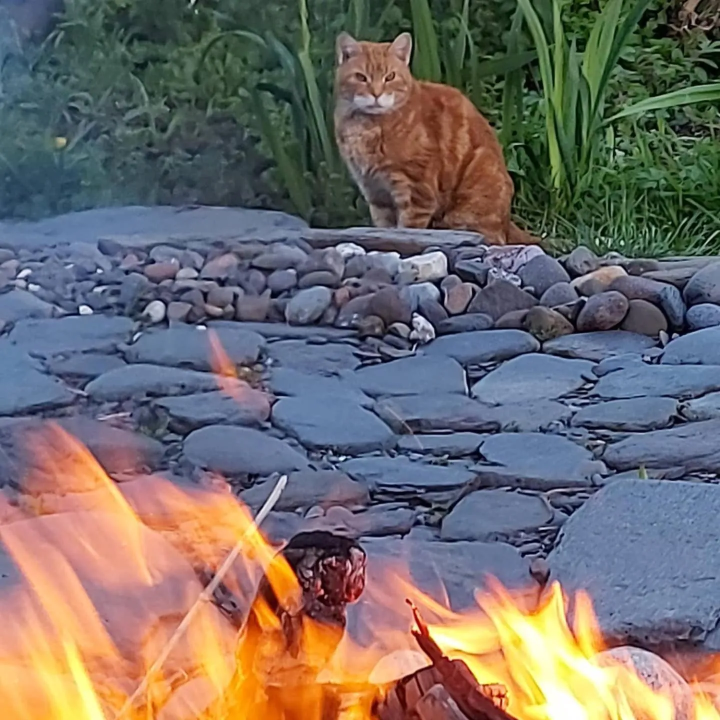 Garden in Garragh Mhor