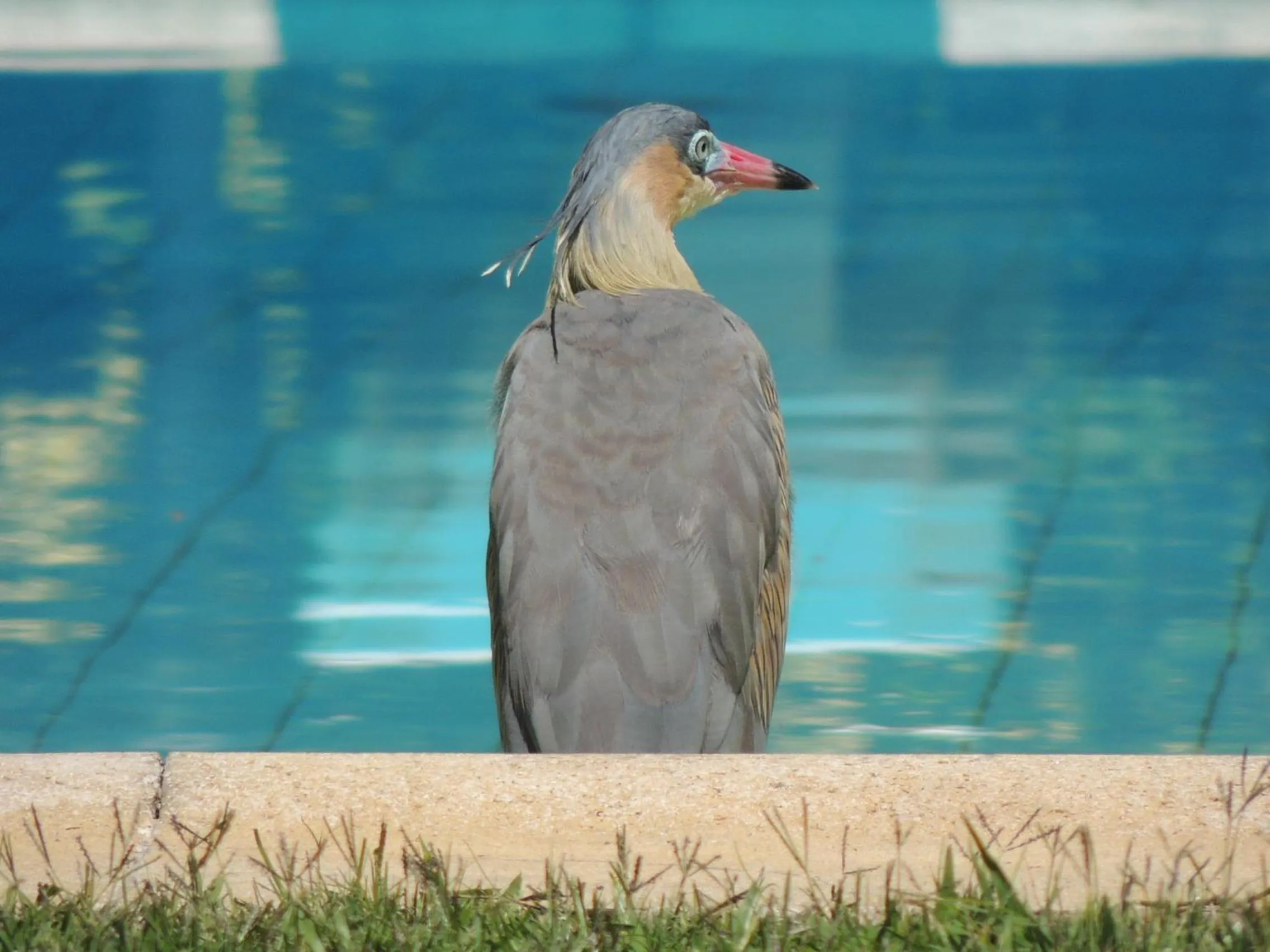 Other in Petit Chateau Hotel Boutique