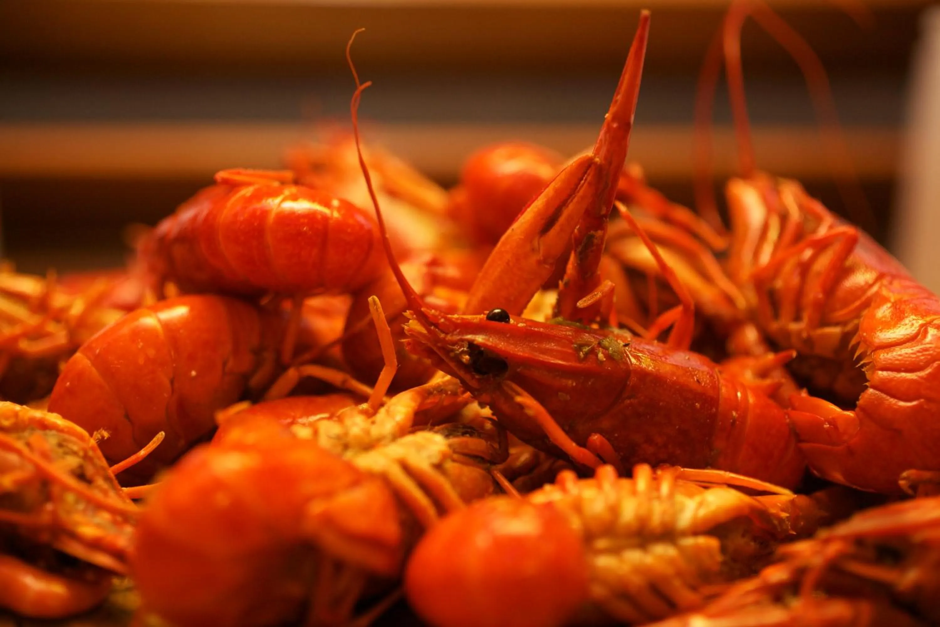 Food and drinks in Da Fabio