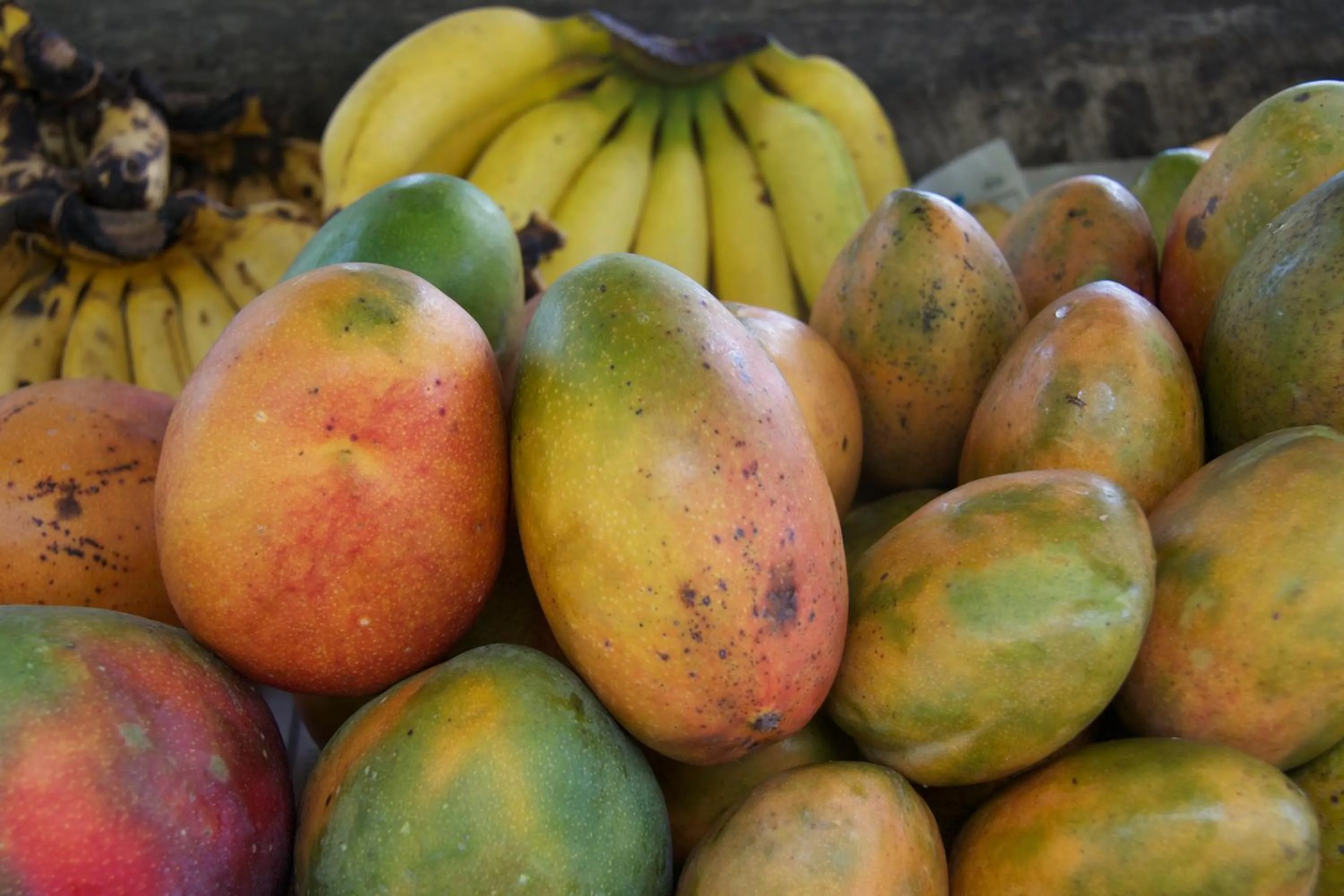 Food and drinks in Da Fabio