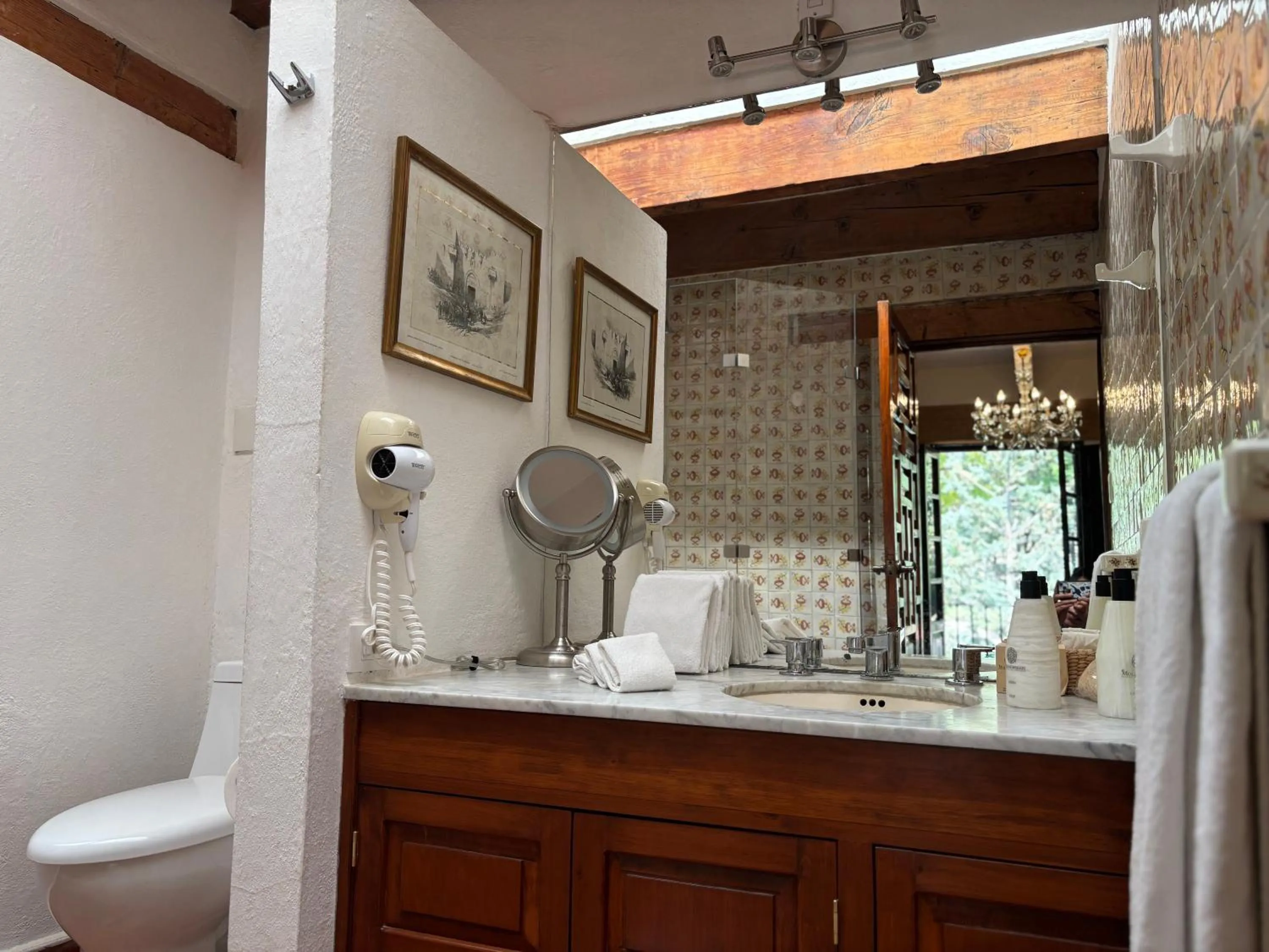 Toilet in Molino de los Reyes