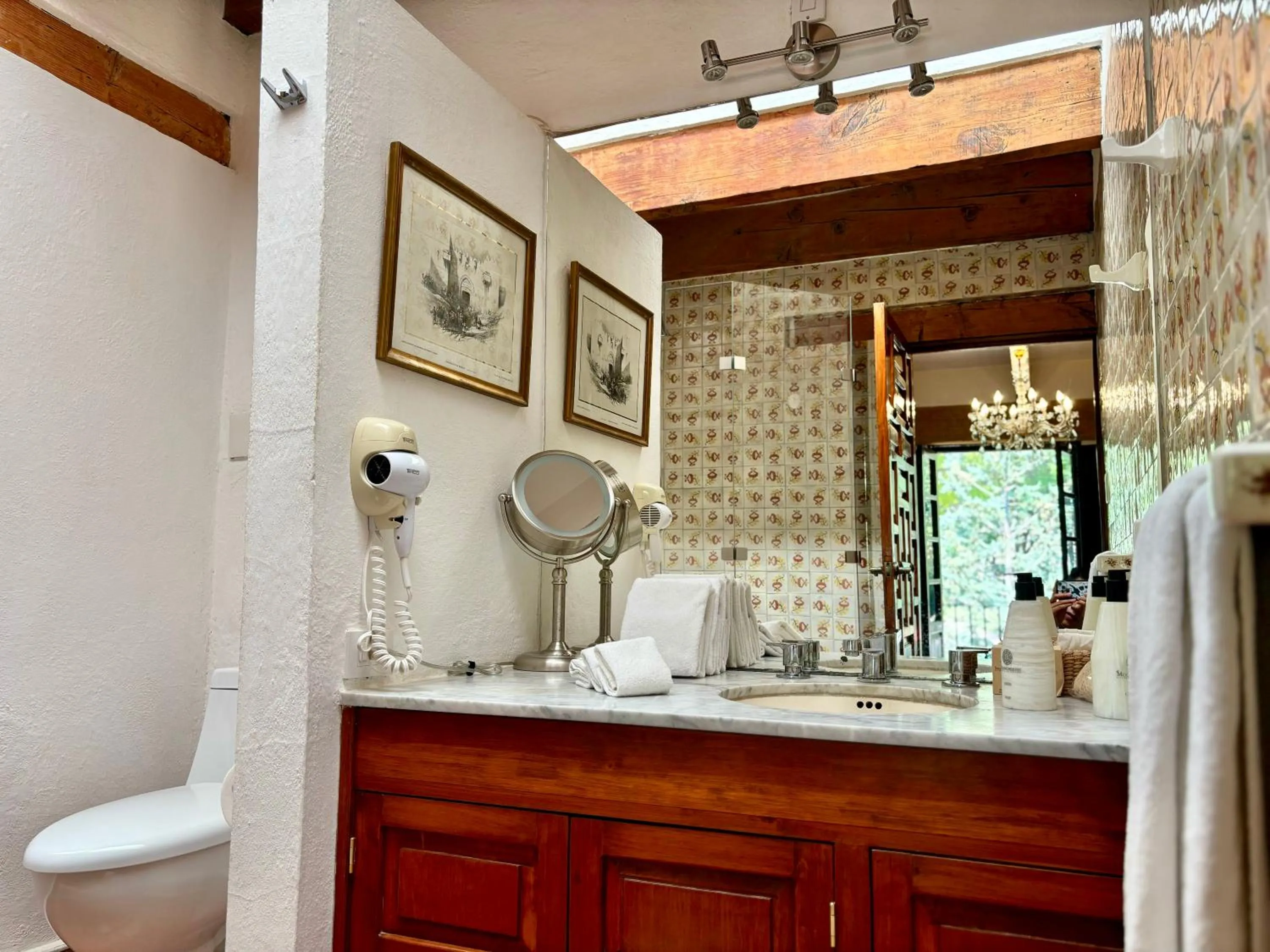 Toilet in Molino de los Reyes