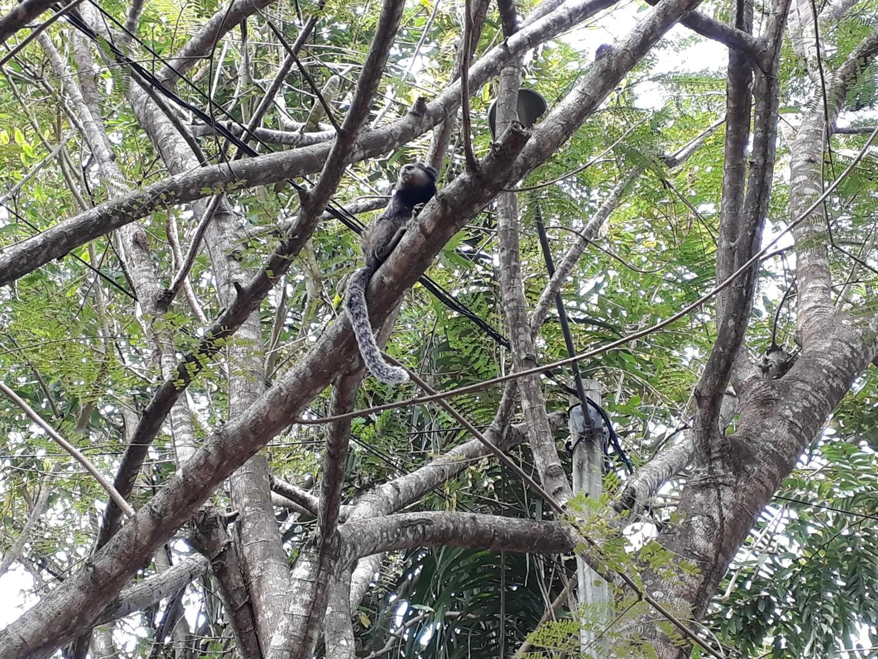 Manjuba Pousada - Taipu de Fora