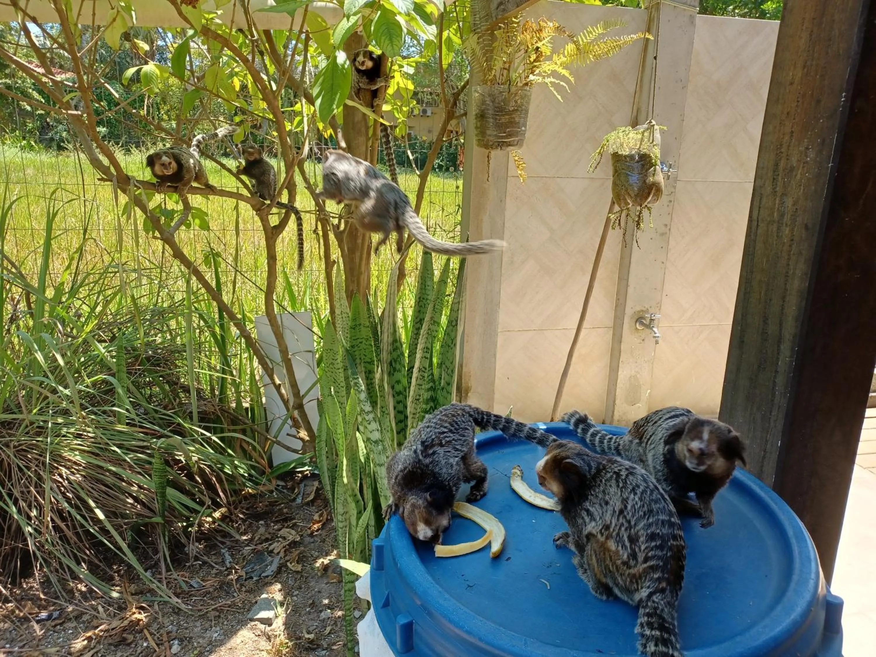 Manjuba Pousada - Taipu de Fora