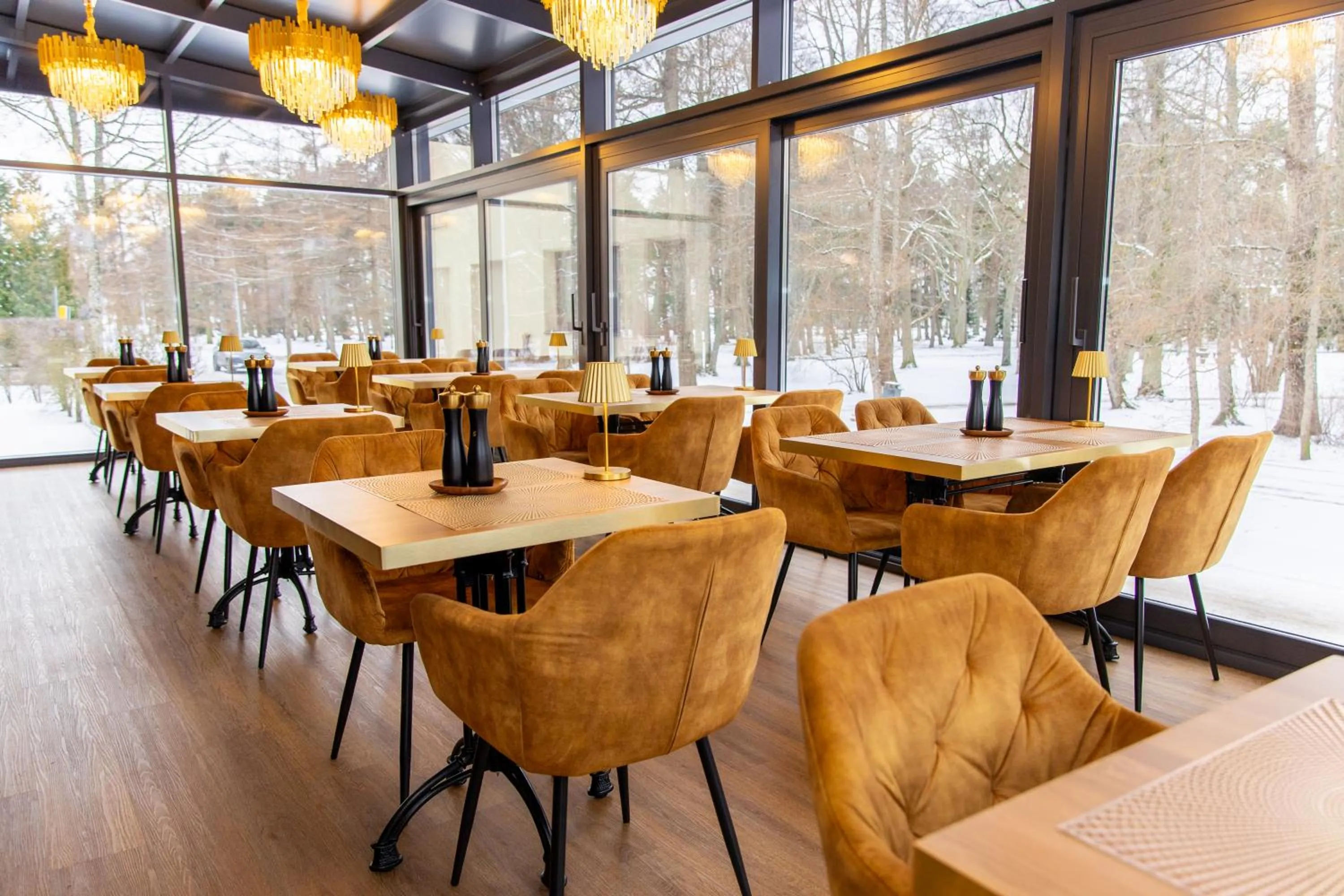 Garden view in Hotel Legend