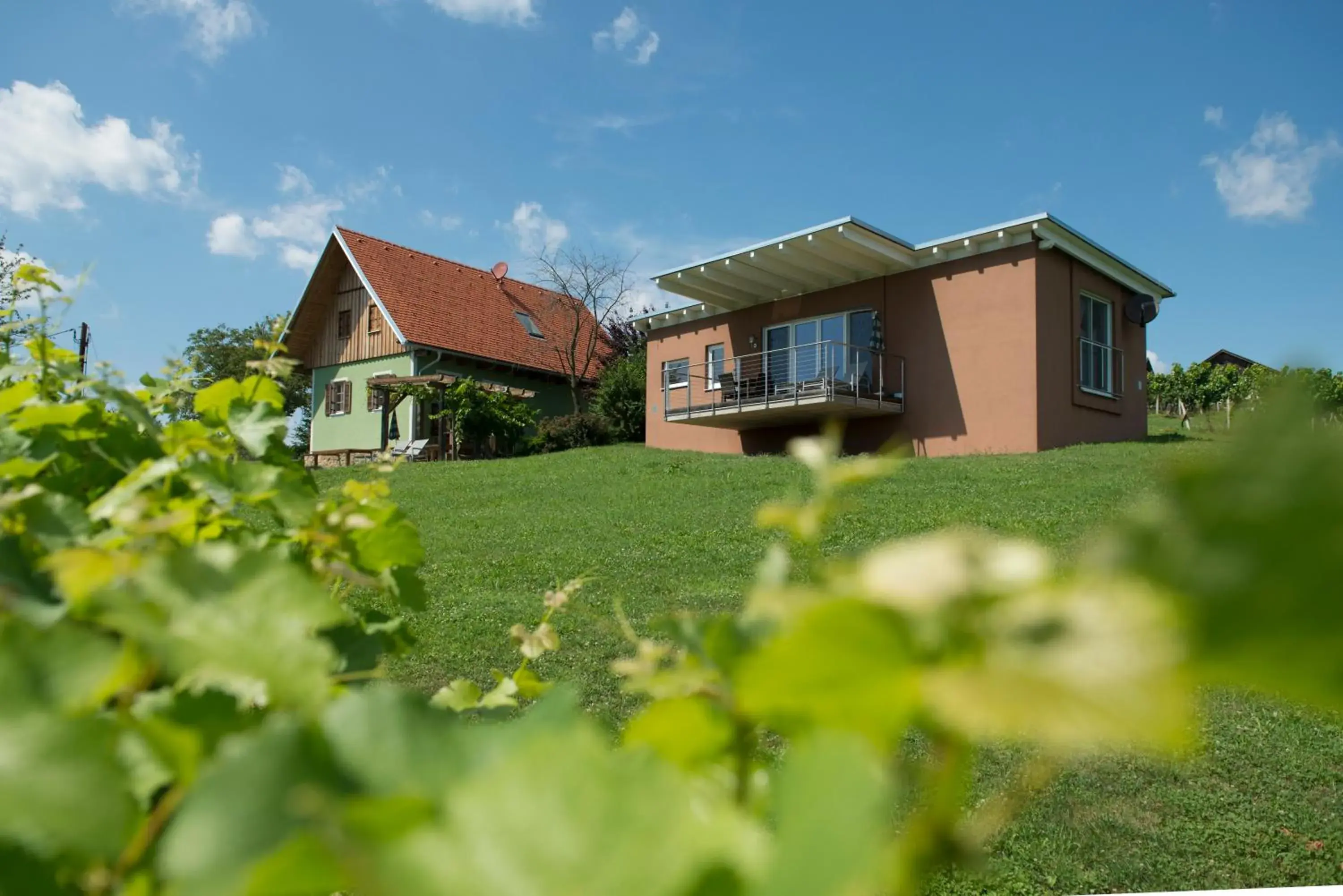 Ferienhäuser im Weingarten Ferienhäuser im Weingarten