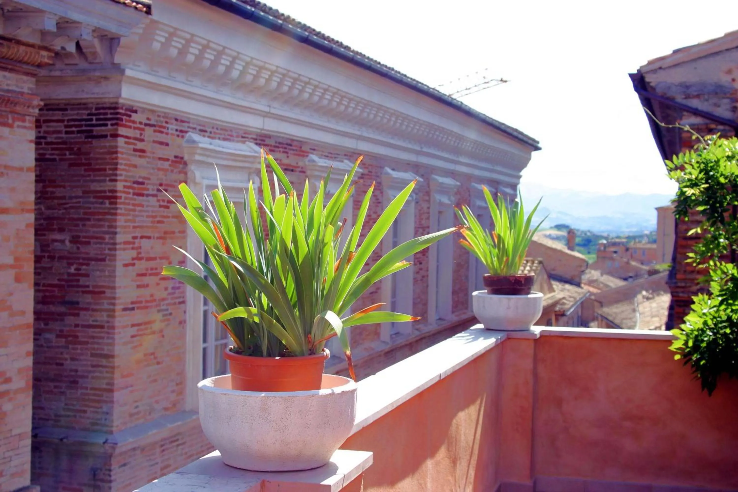 Balcony/Terrace in B&B Le Terrazze Fermo