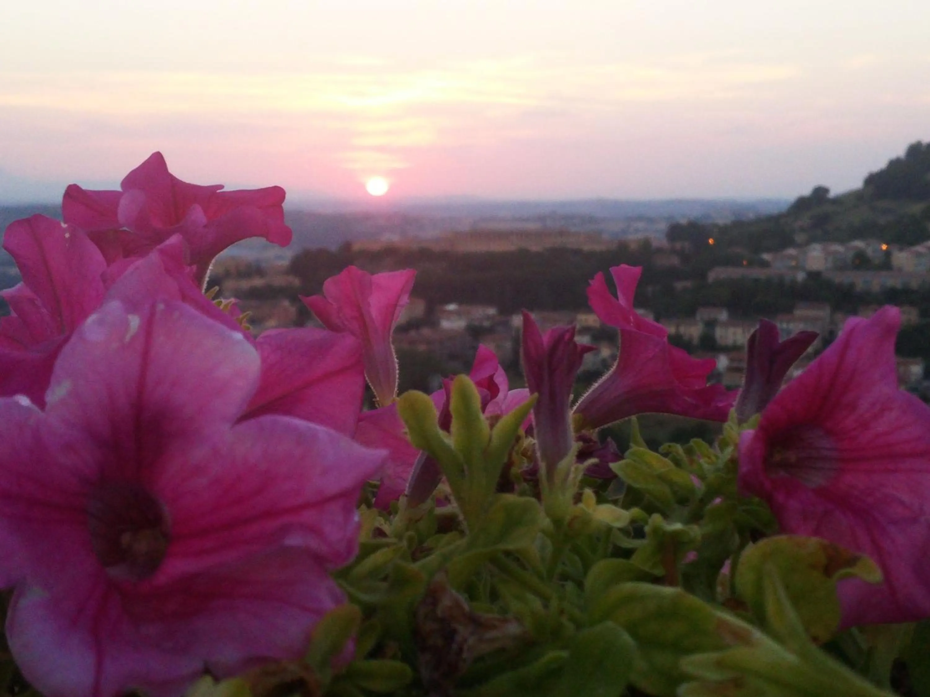 Summer in B&B Le Terrazze Fermo