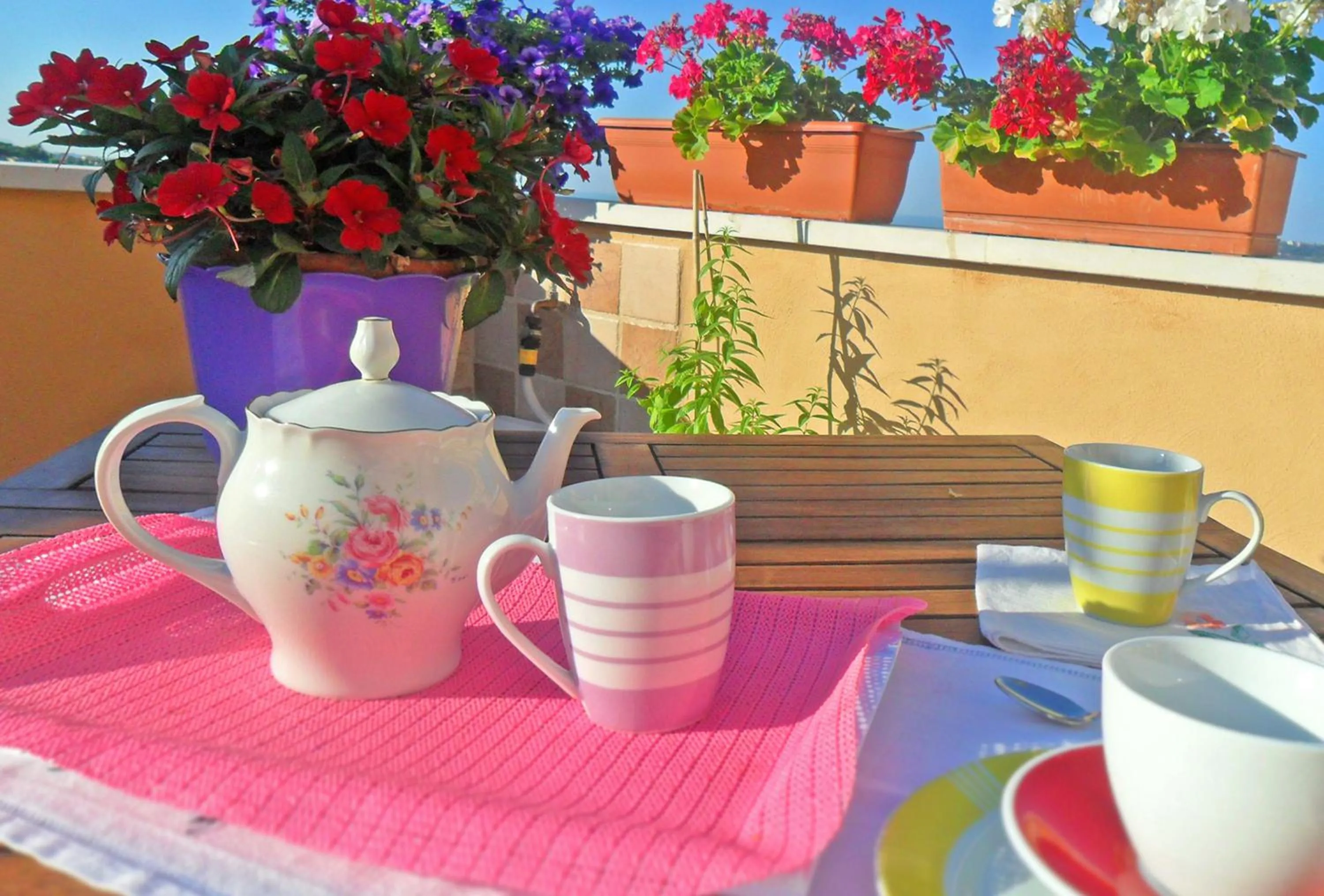 Activities in B&B Le Terrazze Fermo