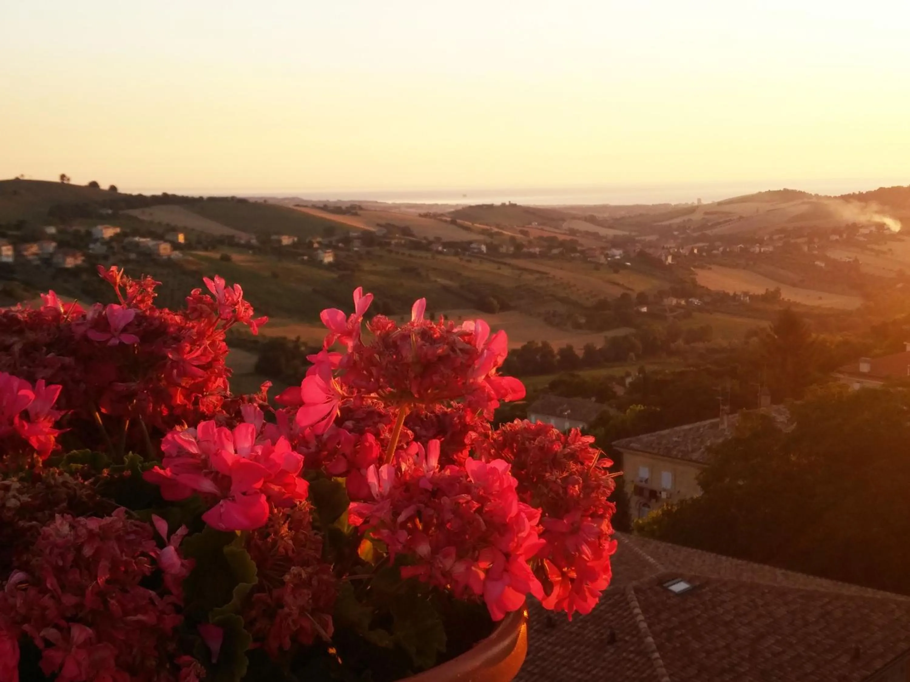 Day in B&B Le Terrazze Fermo