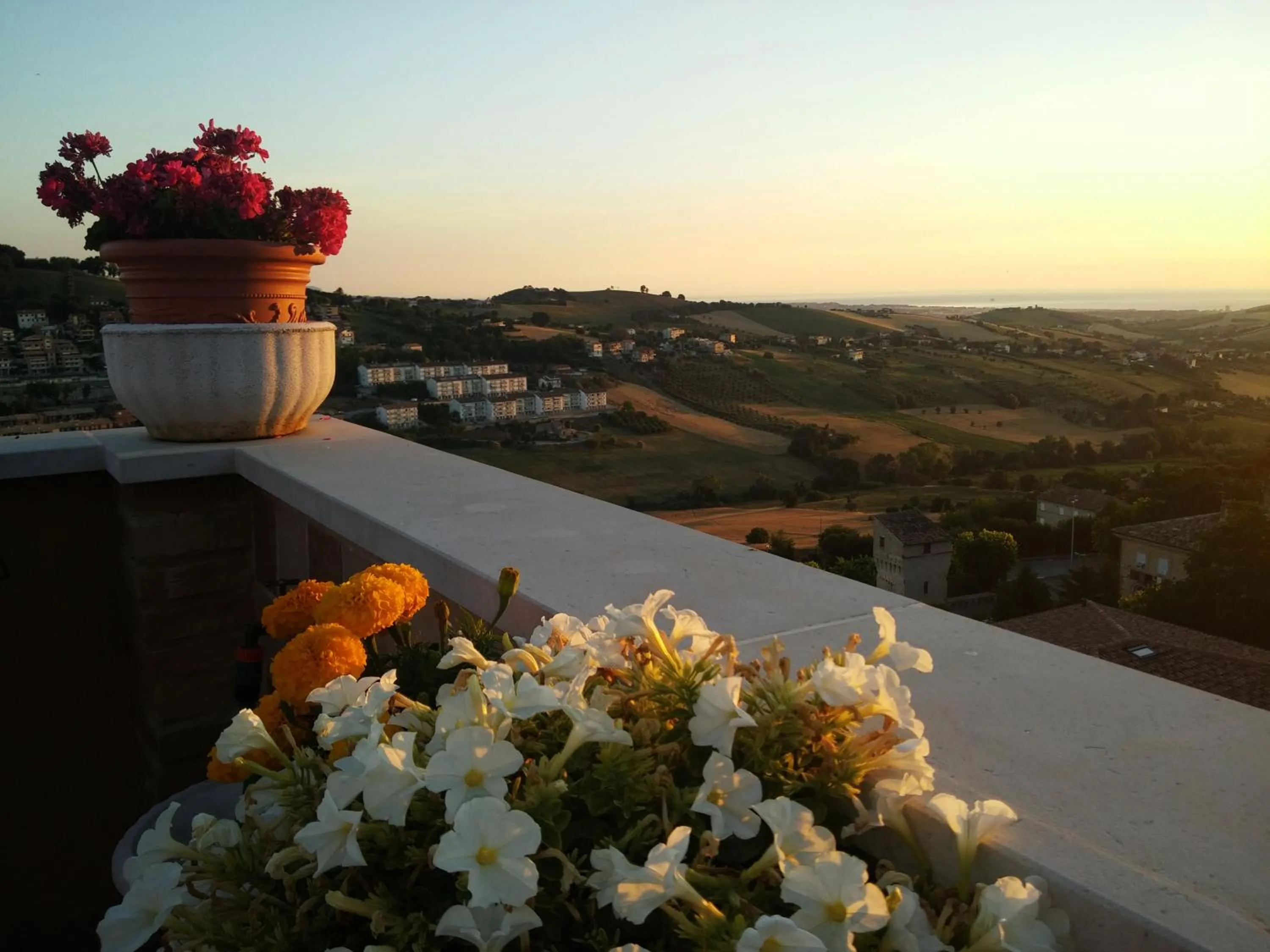 Balcony/Terrace in B&B Le Terrazze Fermo