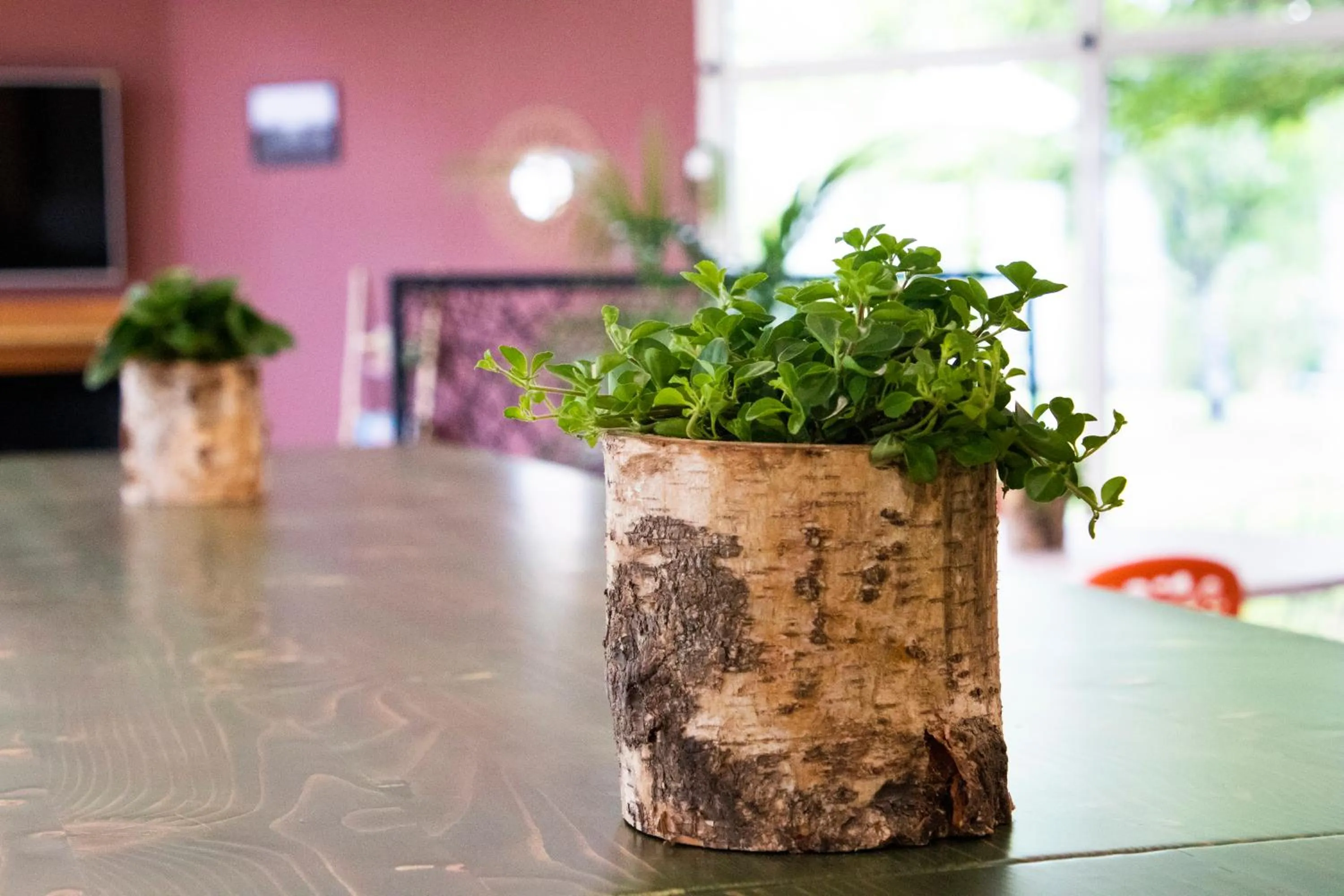 Decorative detail in Greet Hôtel Castres Saix