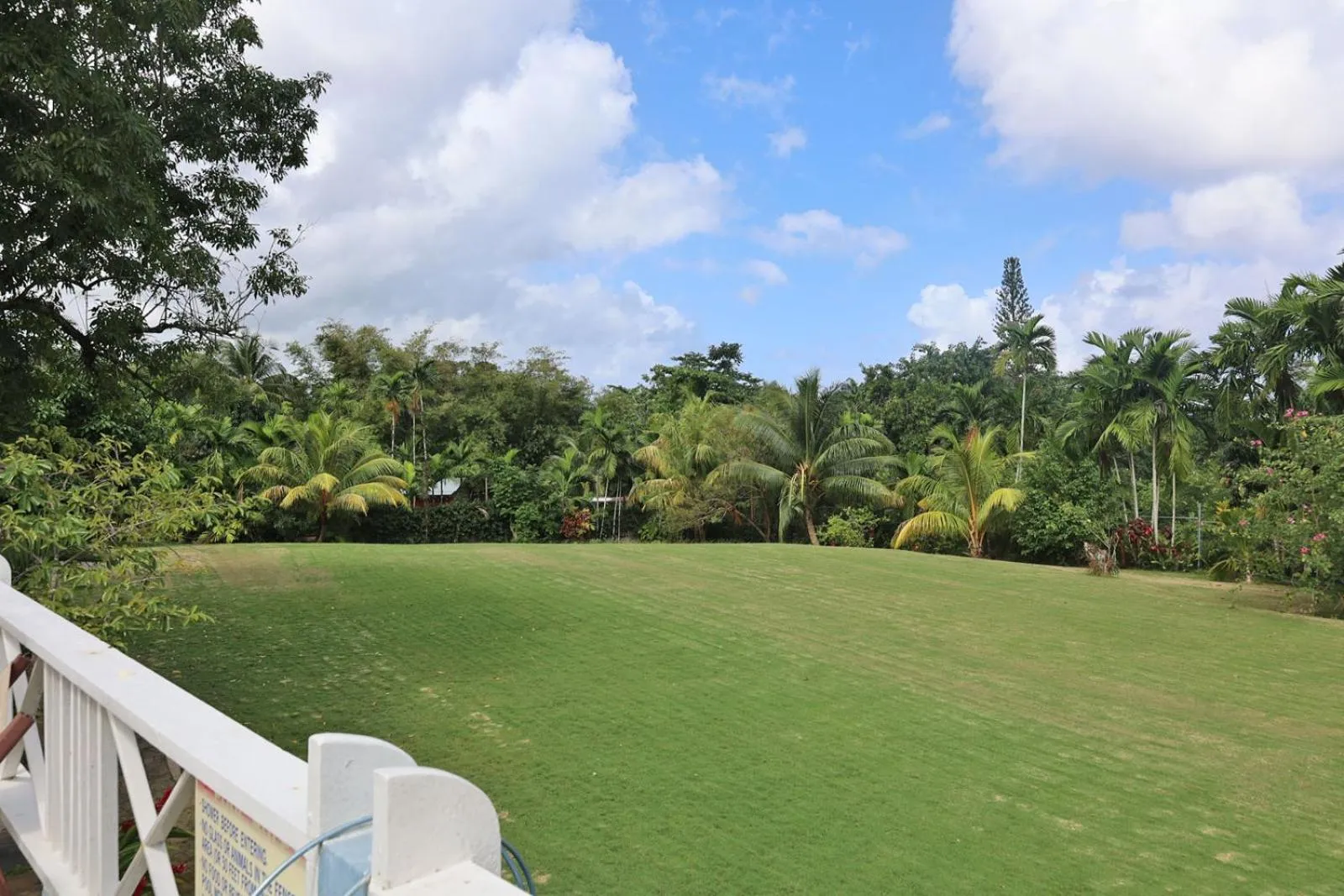 Garden view in Spicy Hill Villa