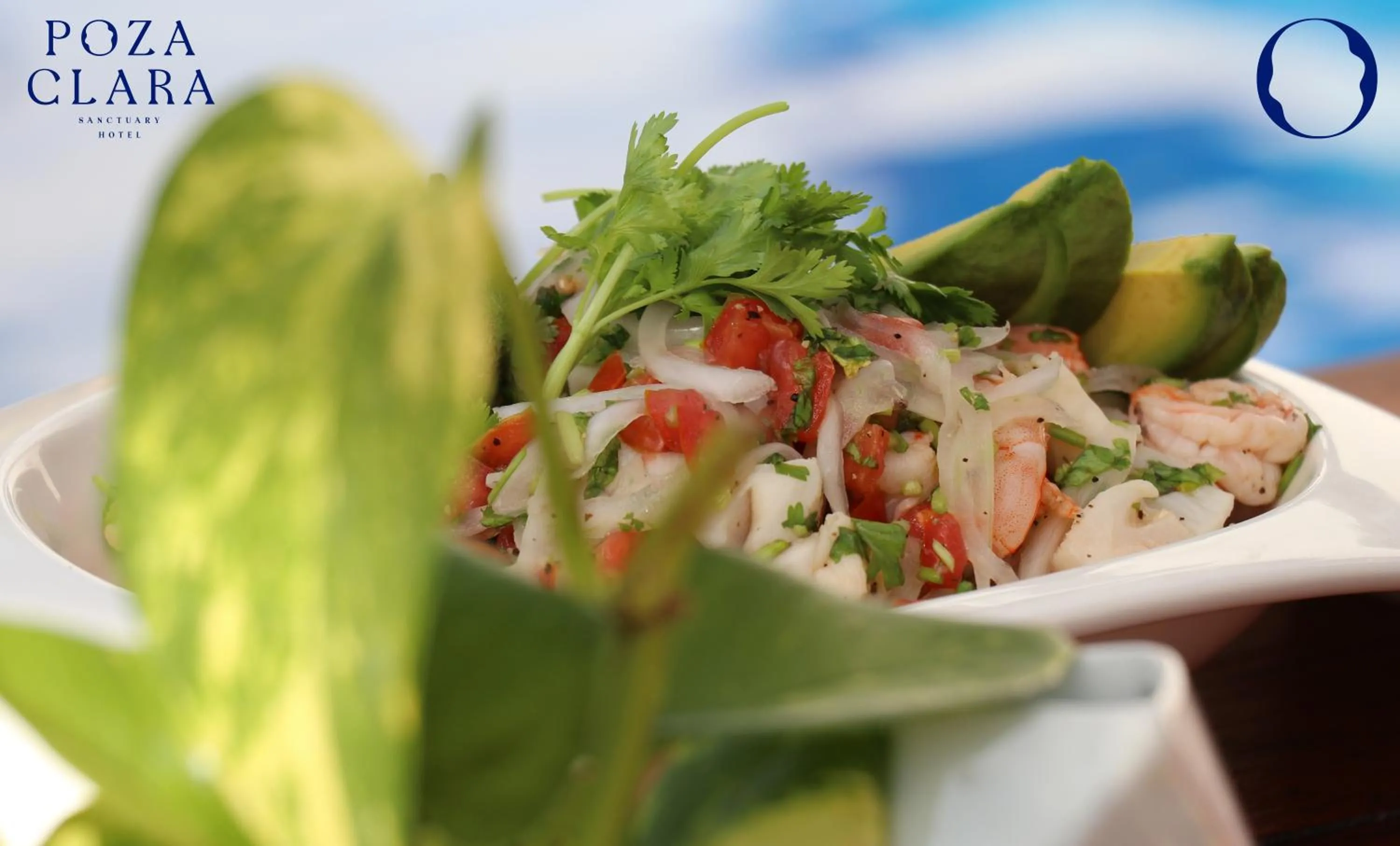 Restaurant/places to eat in Poza Clara Sanctuary