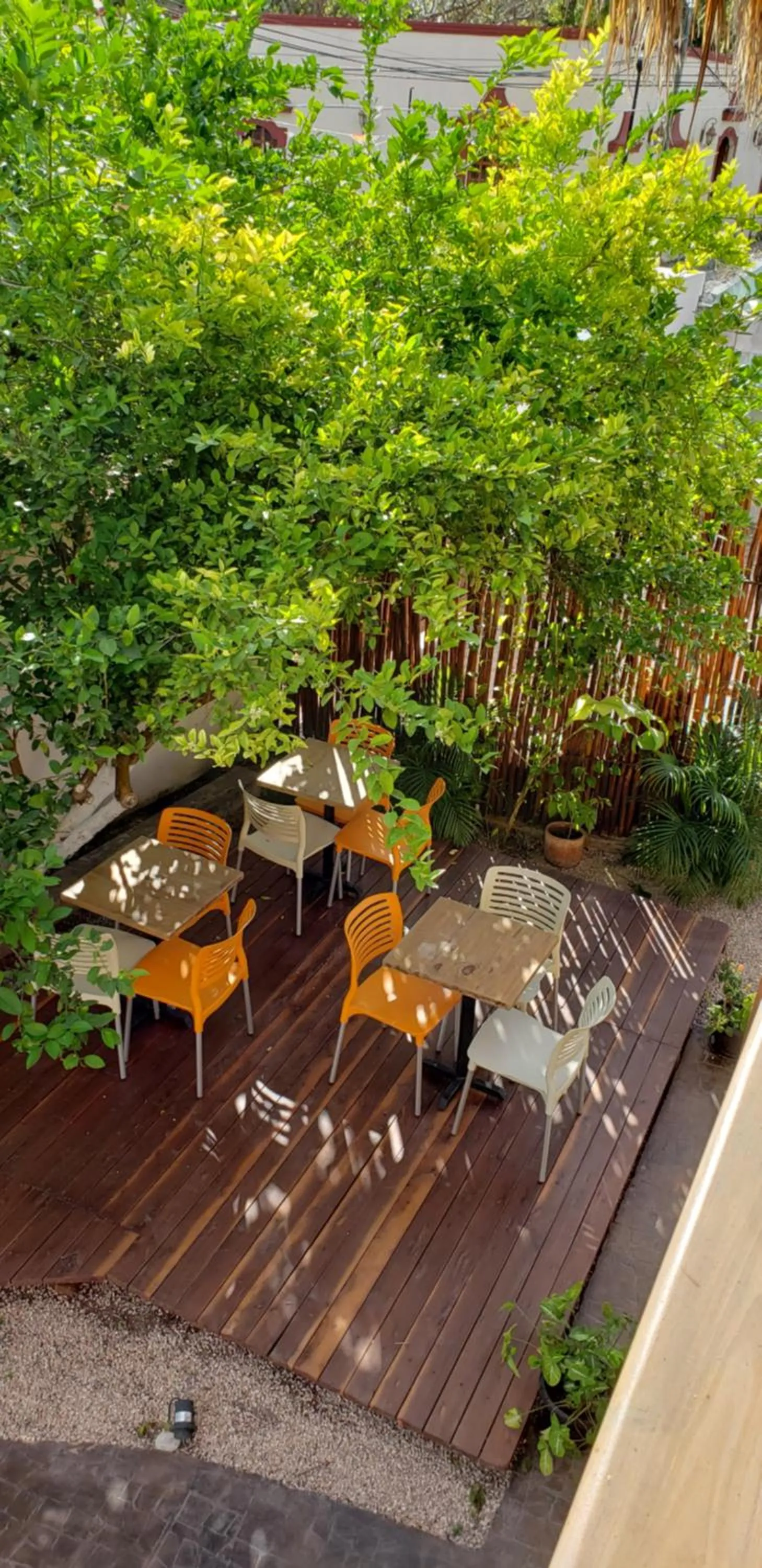 Restaurant/places to eat in Poza Clara Sanctuary