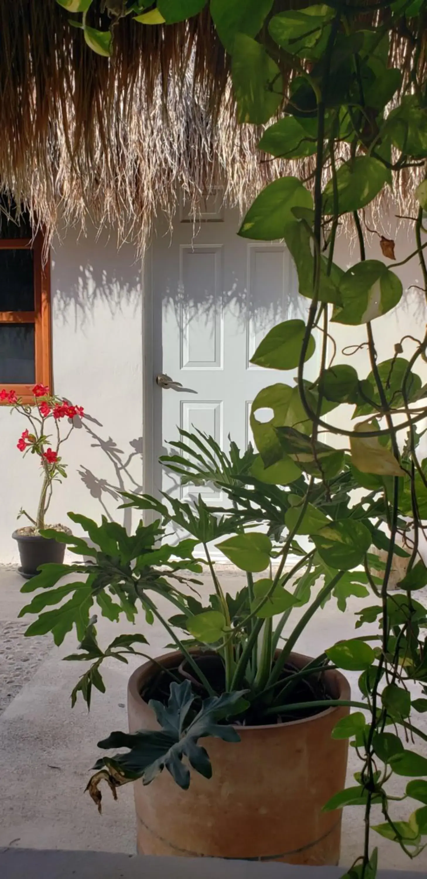 Deluxe Double or Twin Room with Pool Access in Poza Clara Sanctuary Deluxe Double or Twin Room with Pool Access in Poza Clara Sanctuary