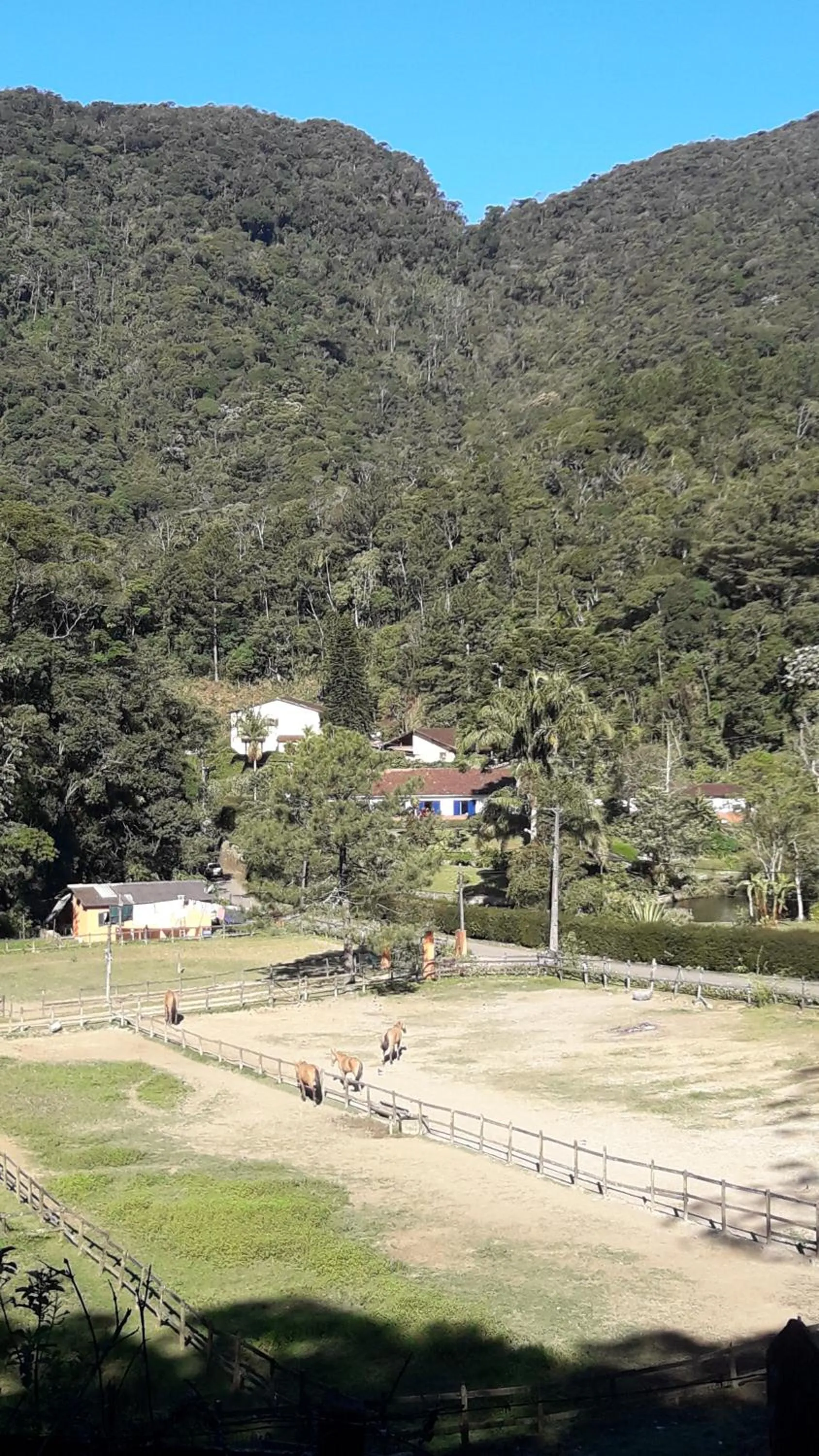 Other in Casa no Céu