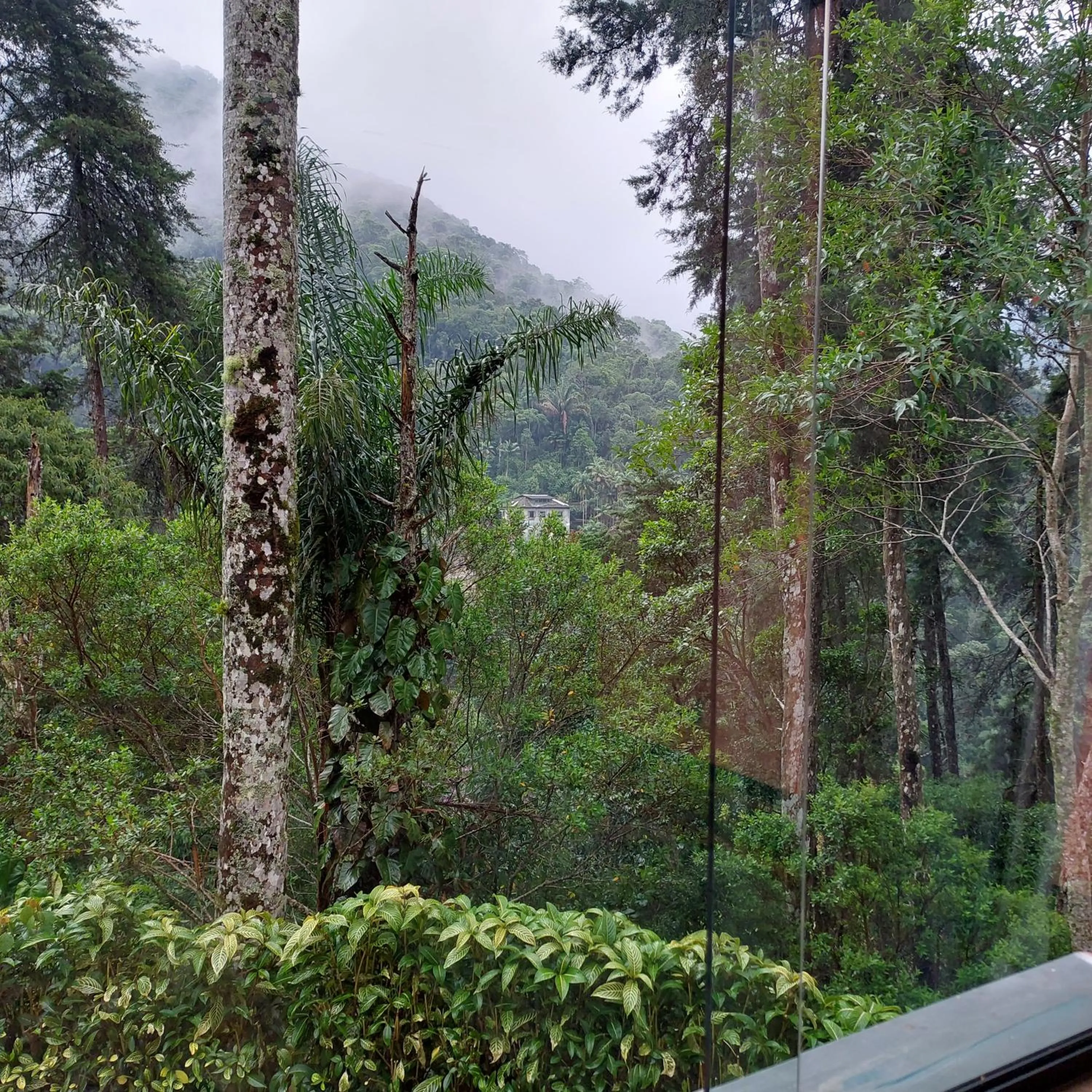 Natural landscape in Casa no Céu