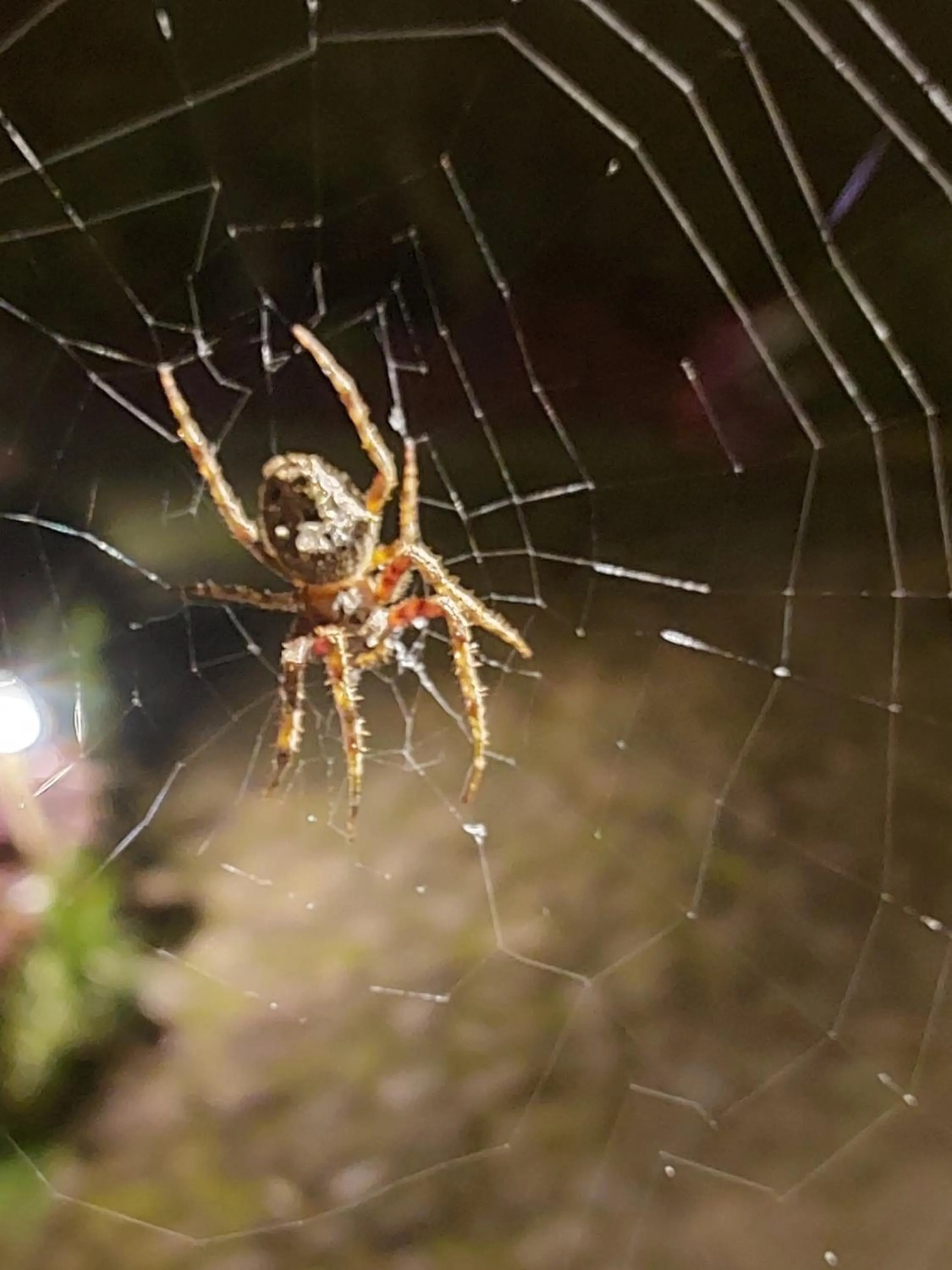Property building in Casa no Céu
