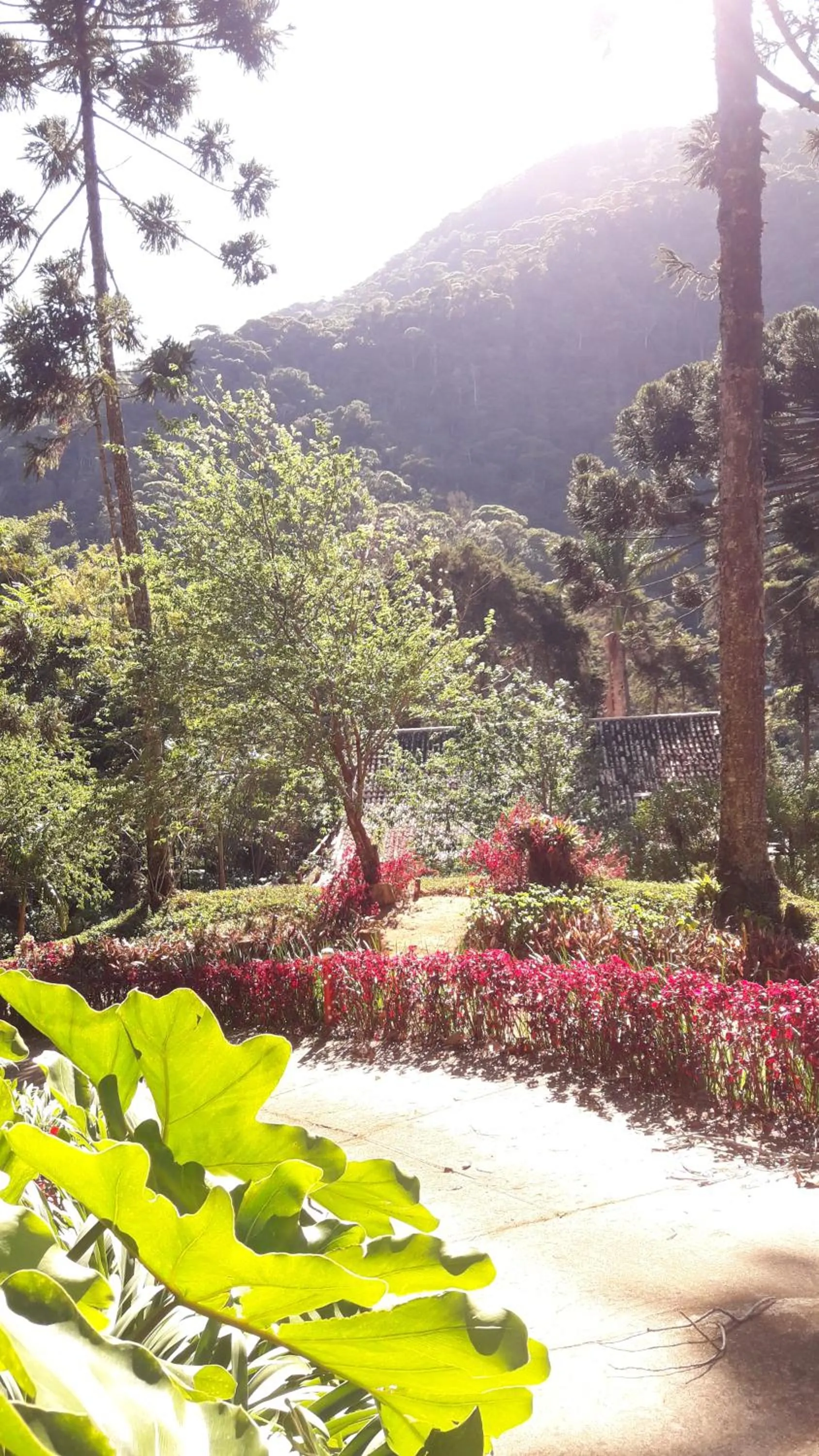 Mountain view in Casa no Céu