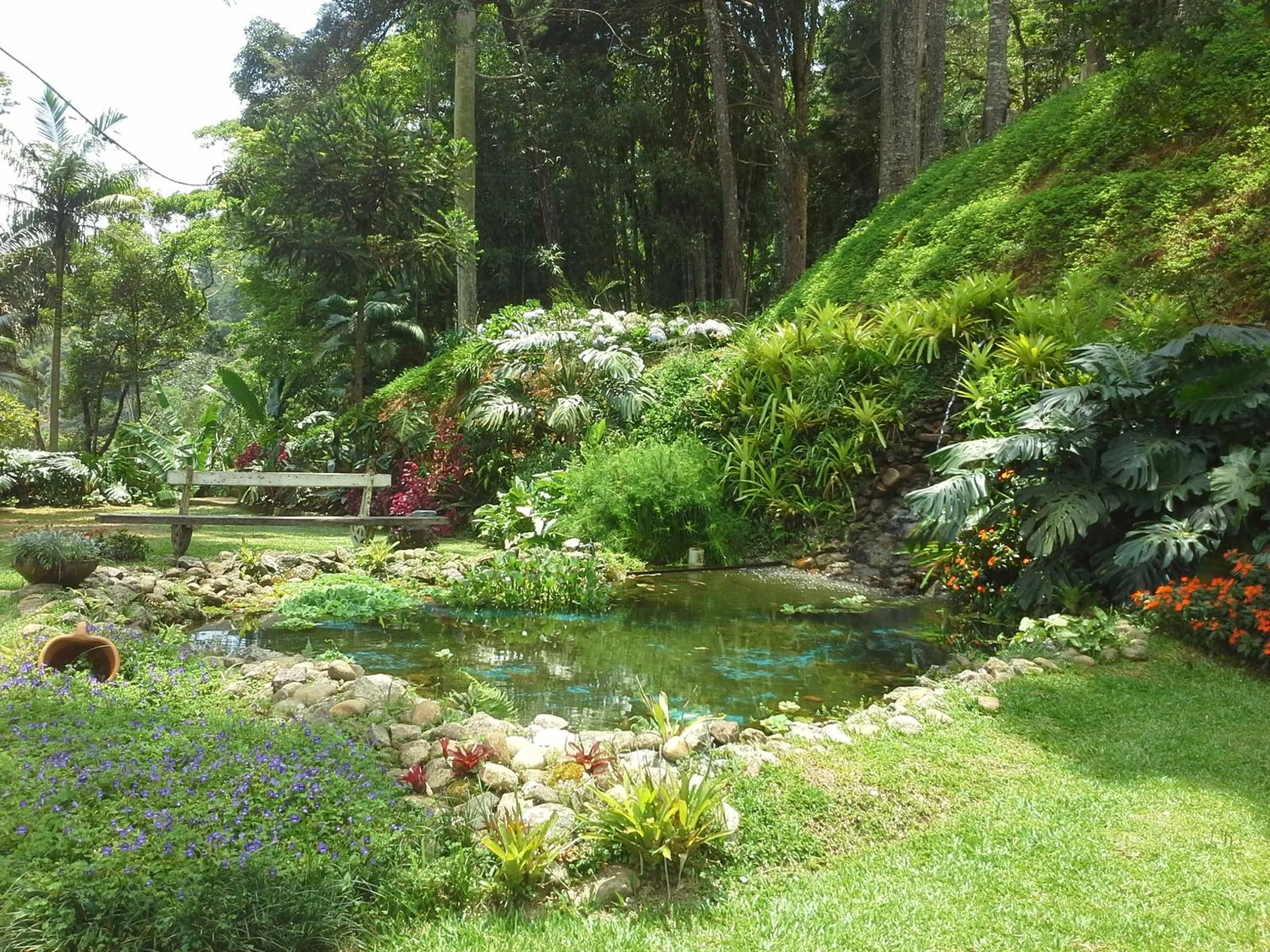 Garden in Casa no Céu