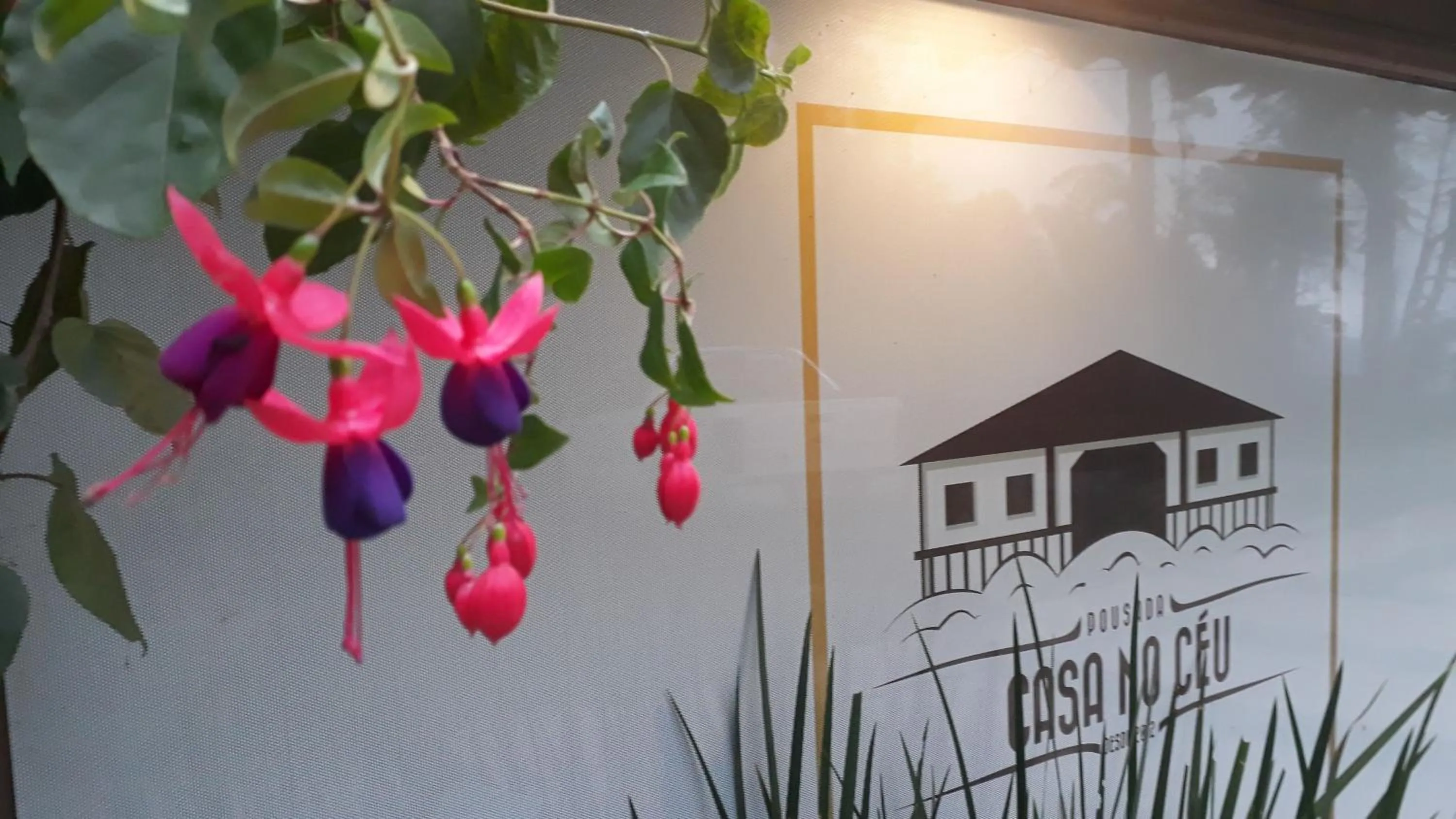 Logo/Certificate/Sign in Casa no Céu