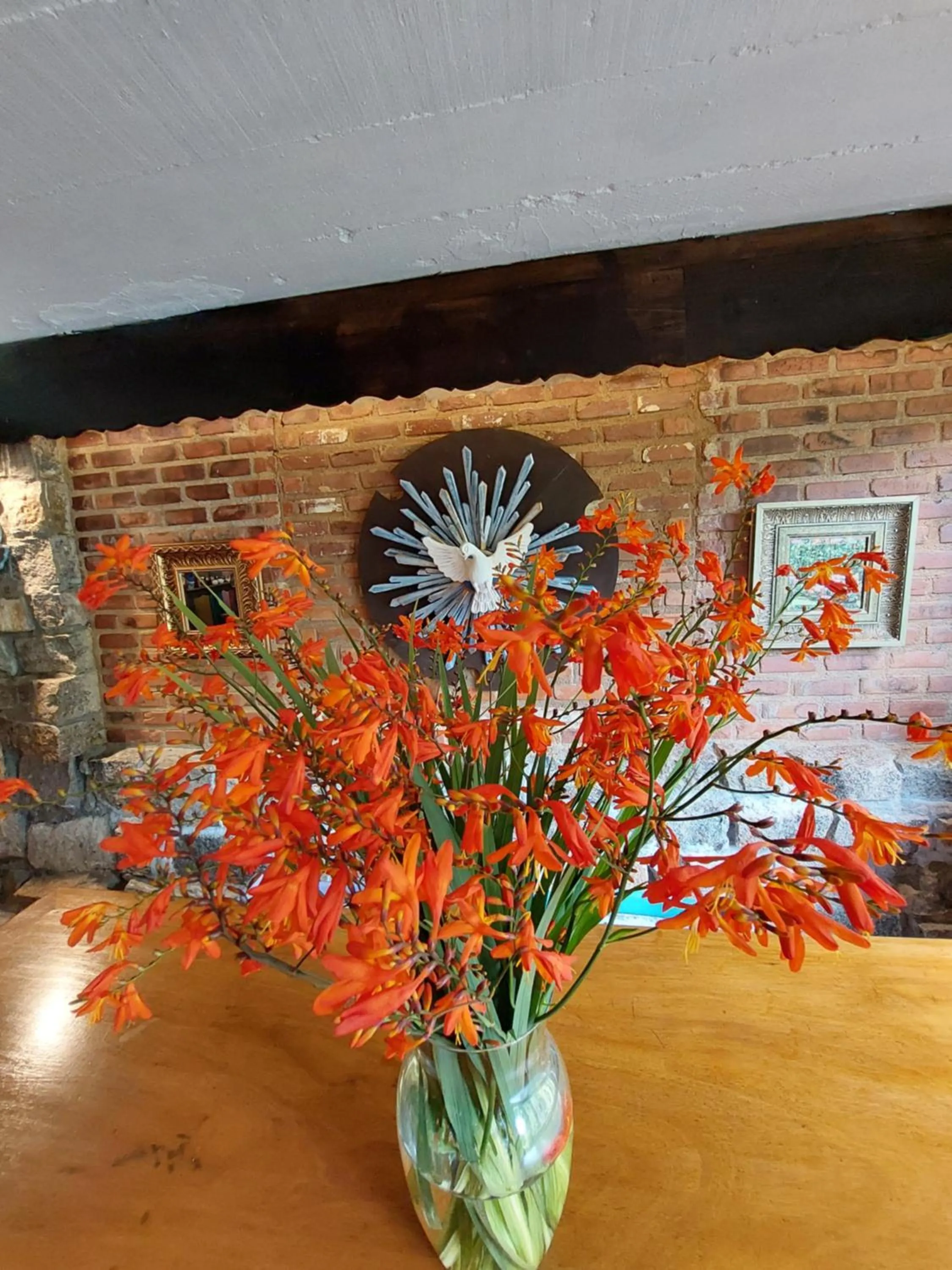 Restaurant/places to eat in Casa no Céu