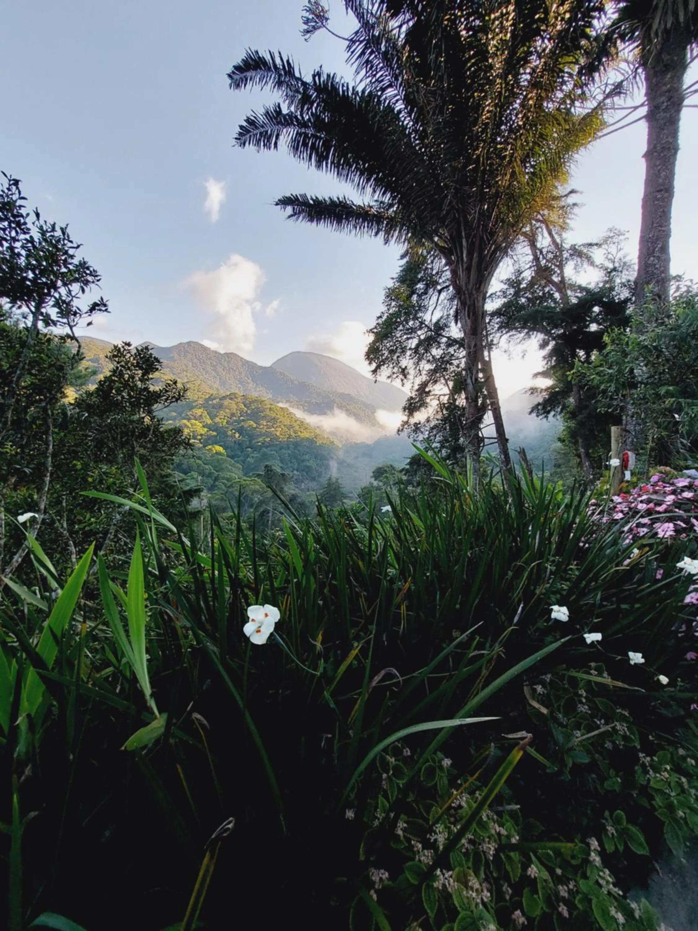 Property building in Casa no Céu