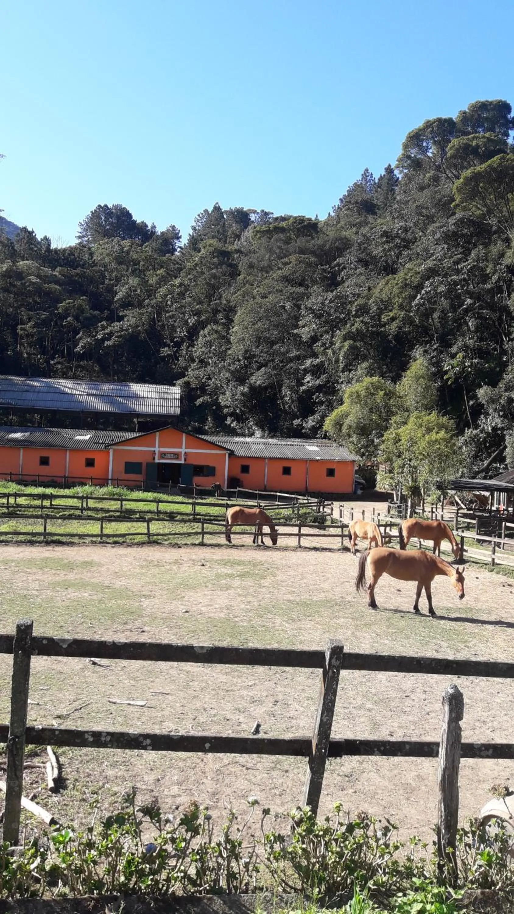 Other in Casa no Céu