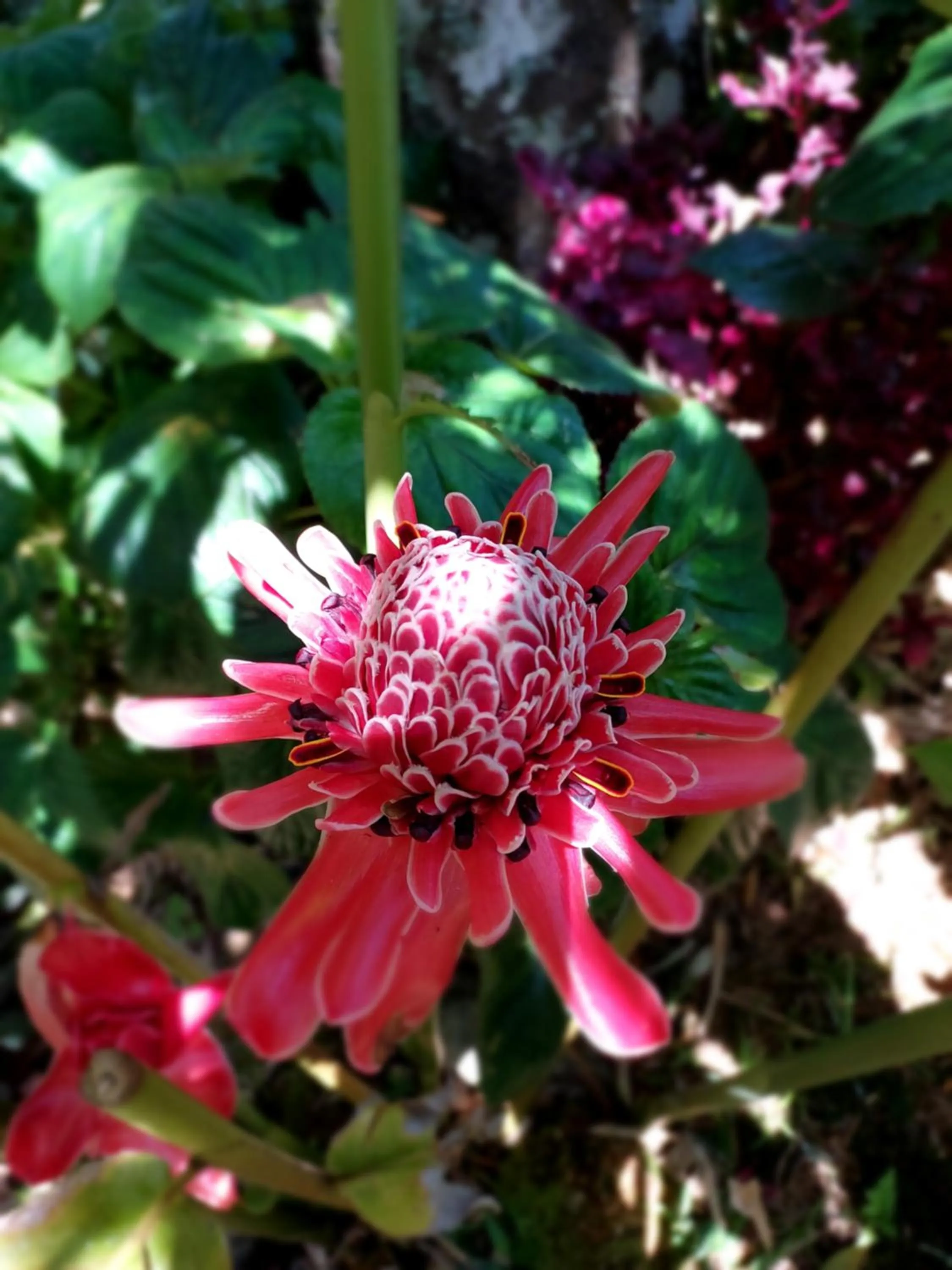 Property building in Casa no Céu