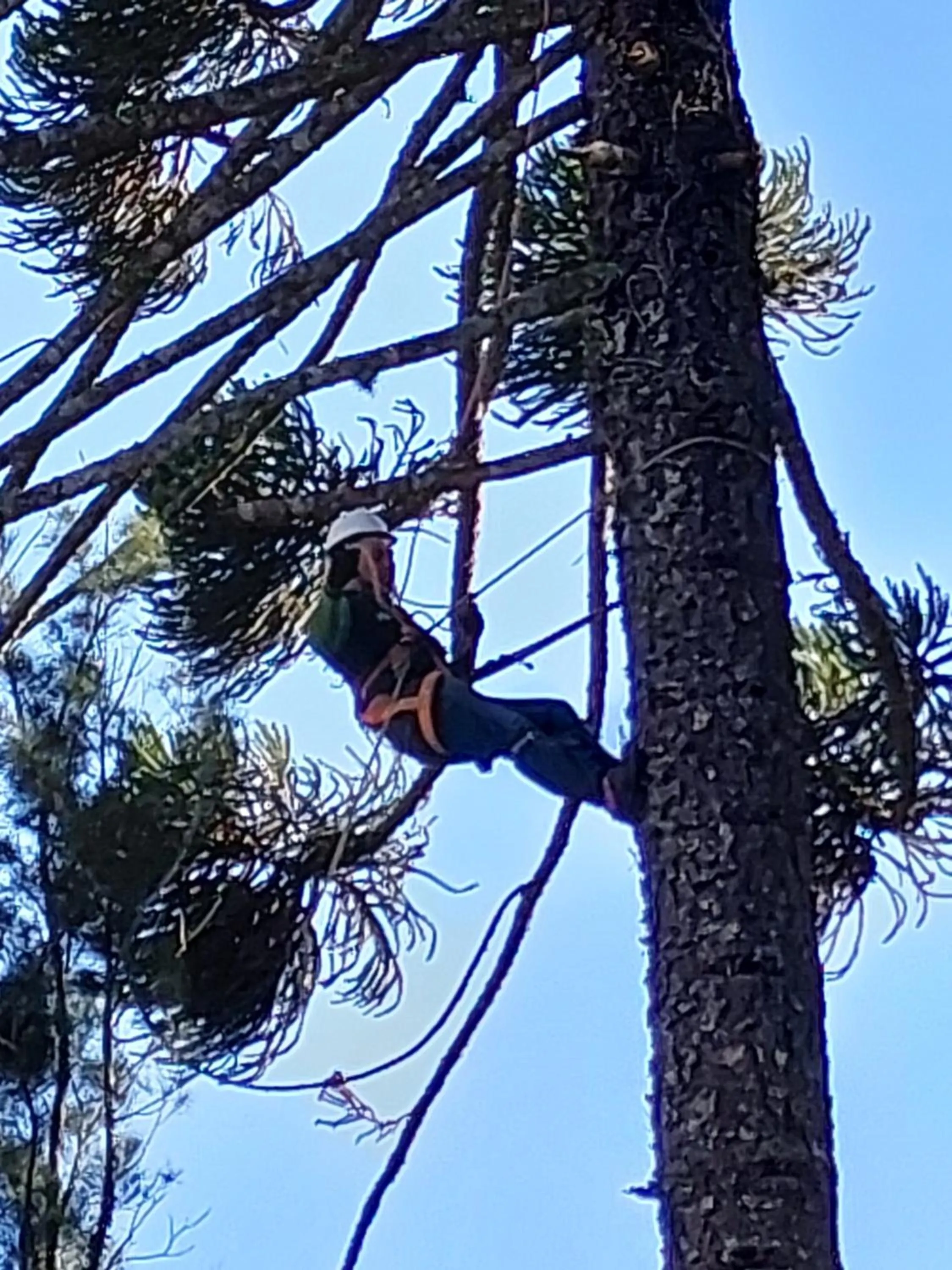 Property building in Casa no Céu