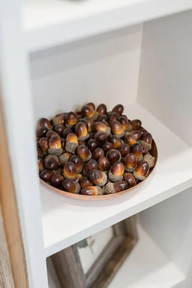 Stunning CargoHome Near Waco, Magnolia and Baylor