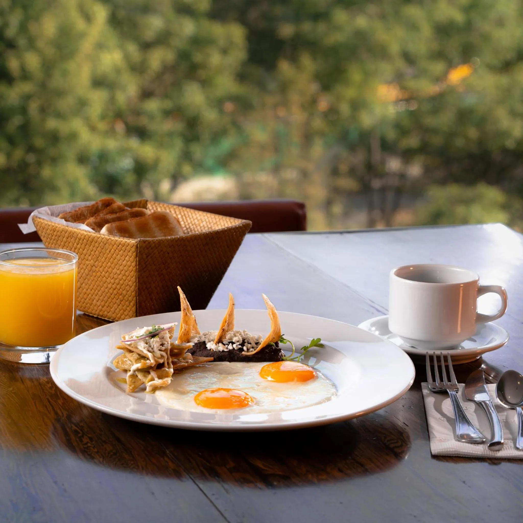 Restaurant/places to eat in Gamma Ciudad de Mexico Santa Fe