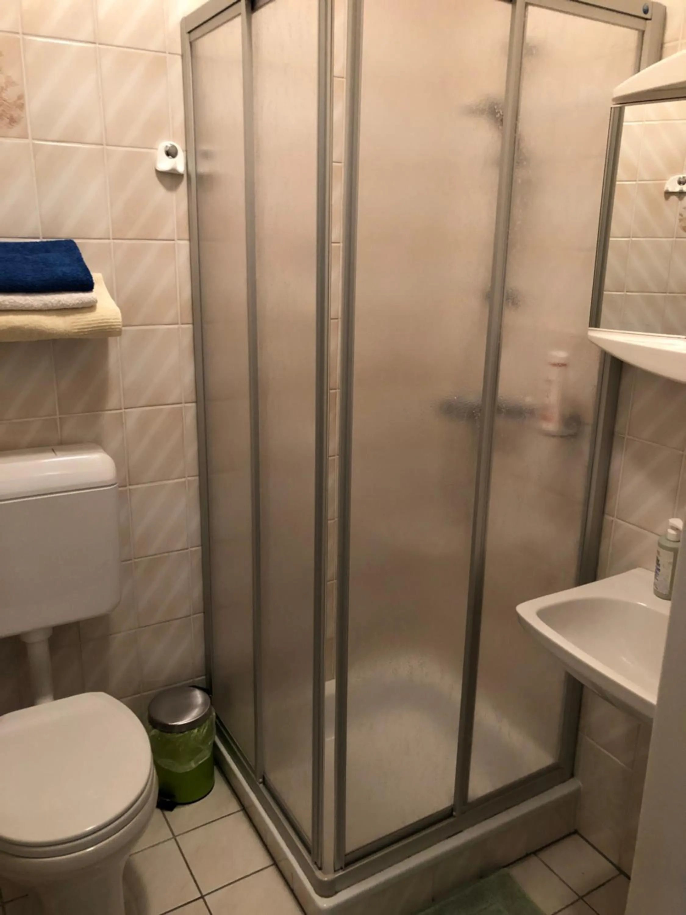 Shower in Haus Camelia