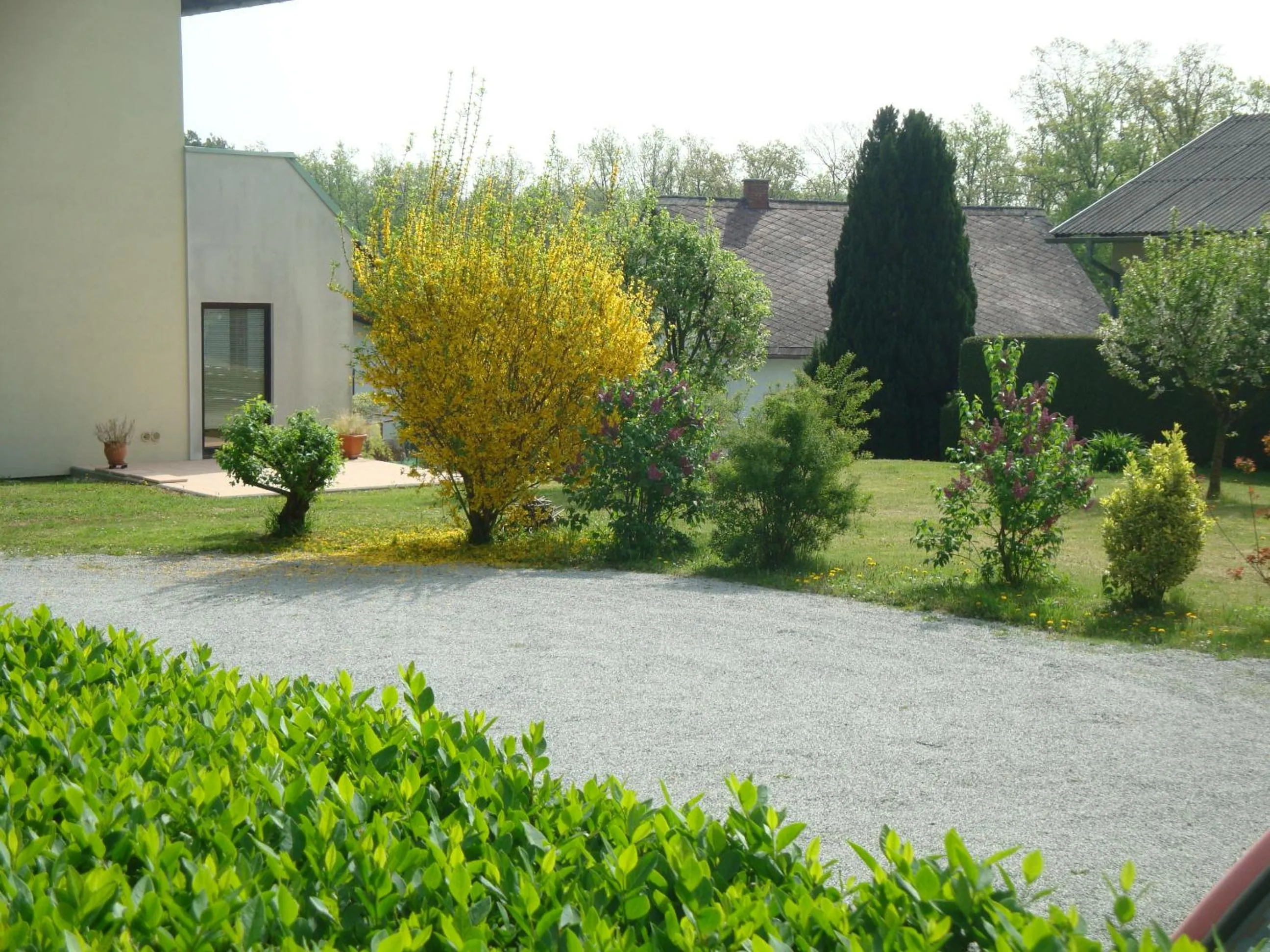 Patio in Haus Camelia