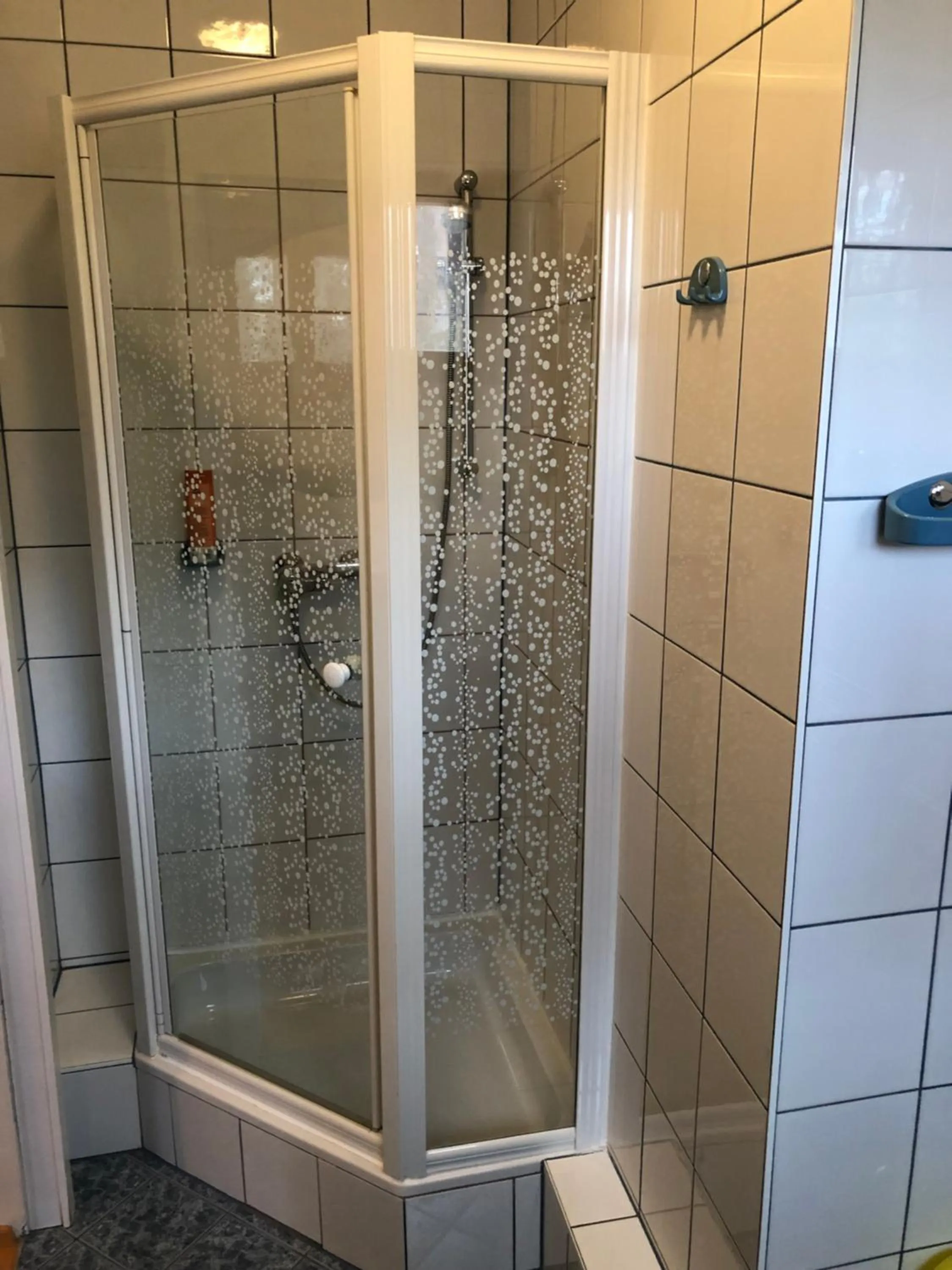 Shower in Haus Camelia