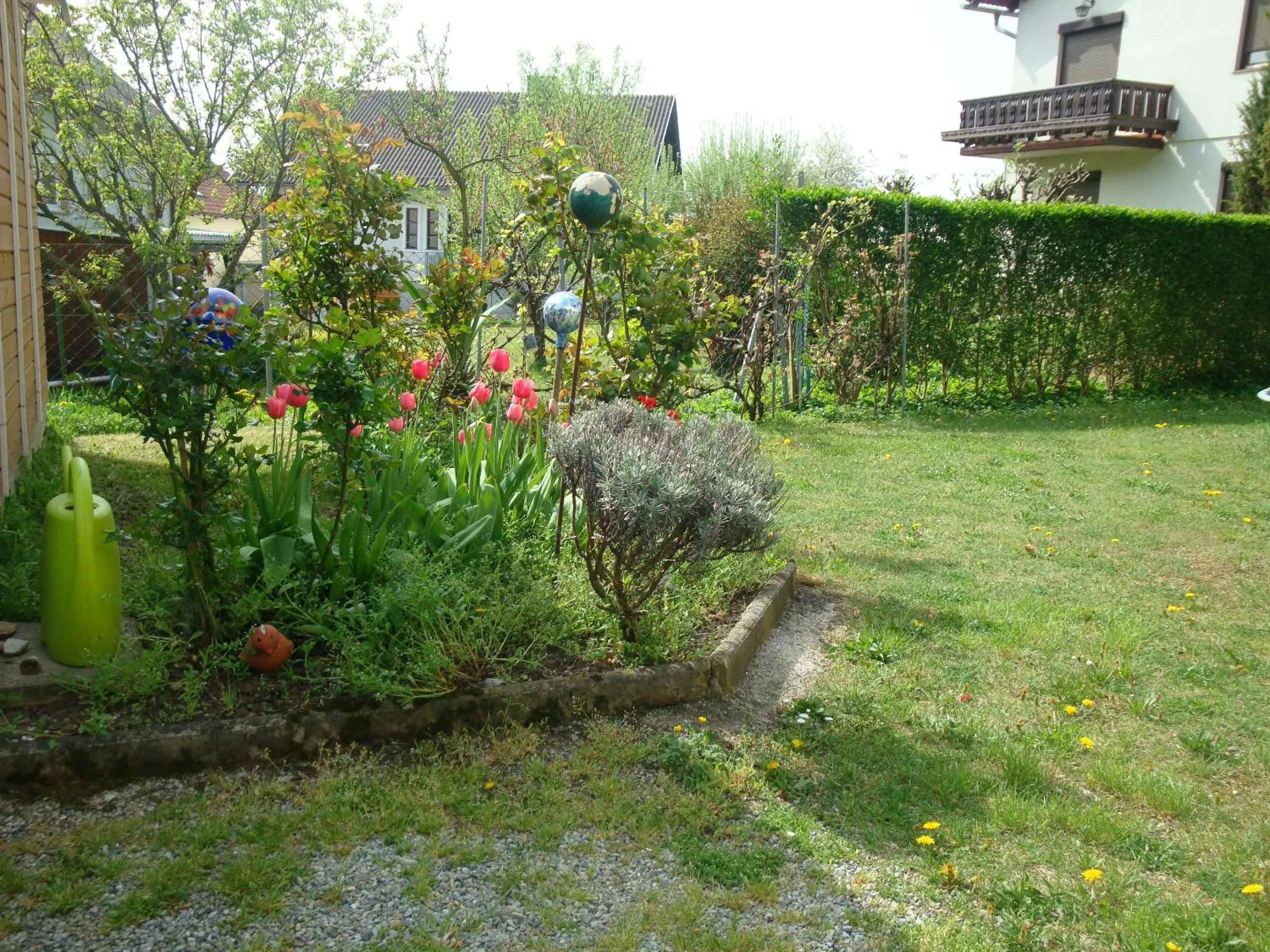 Garden in Haus Camelia