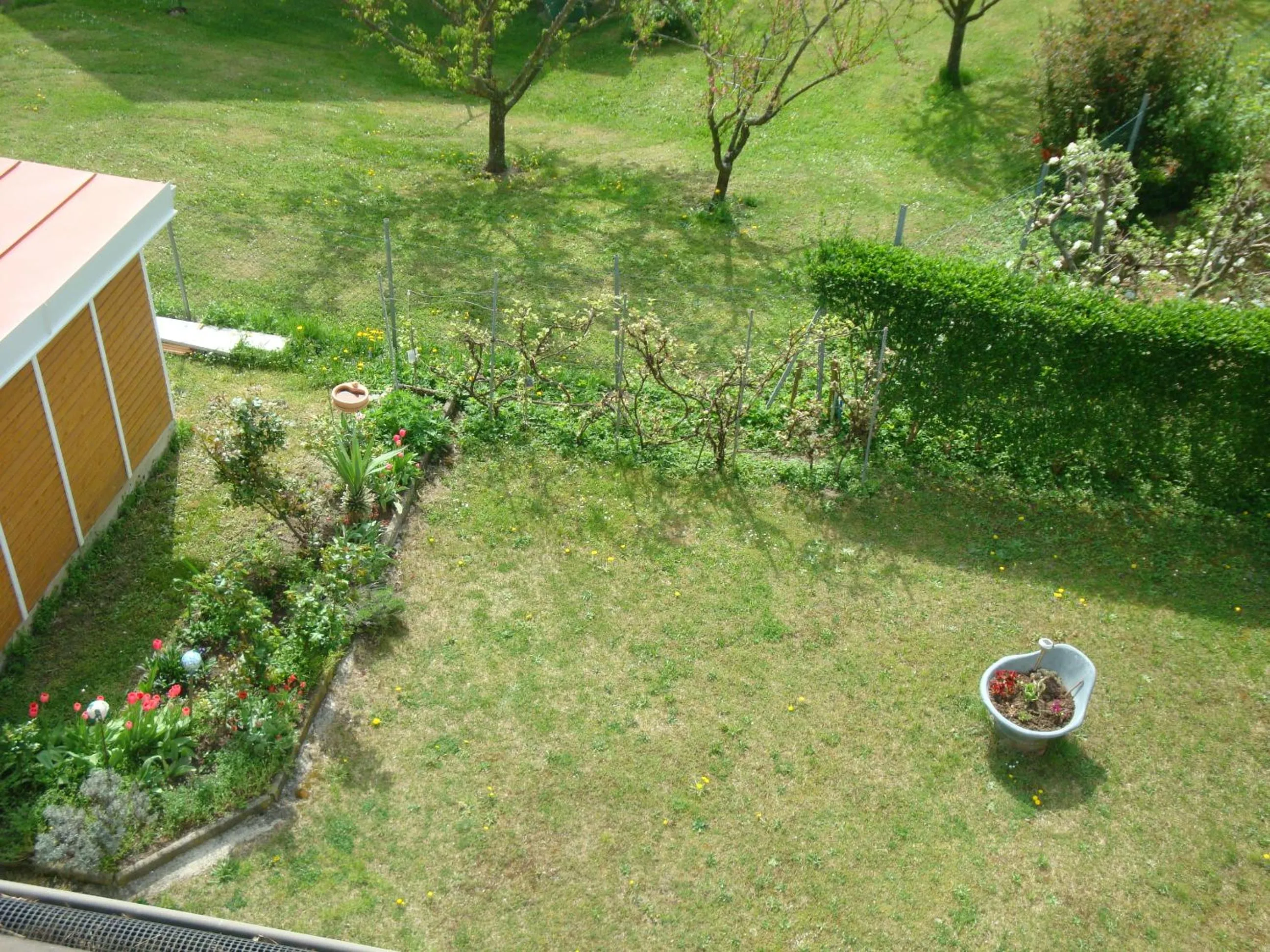 Garden in Haus Camelia