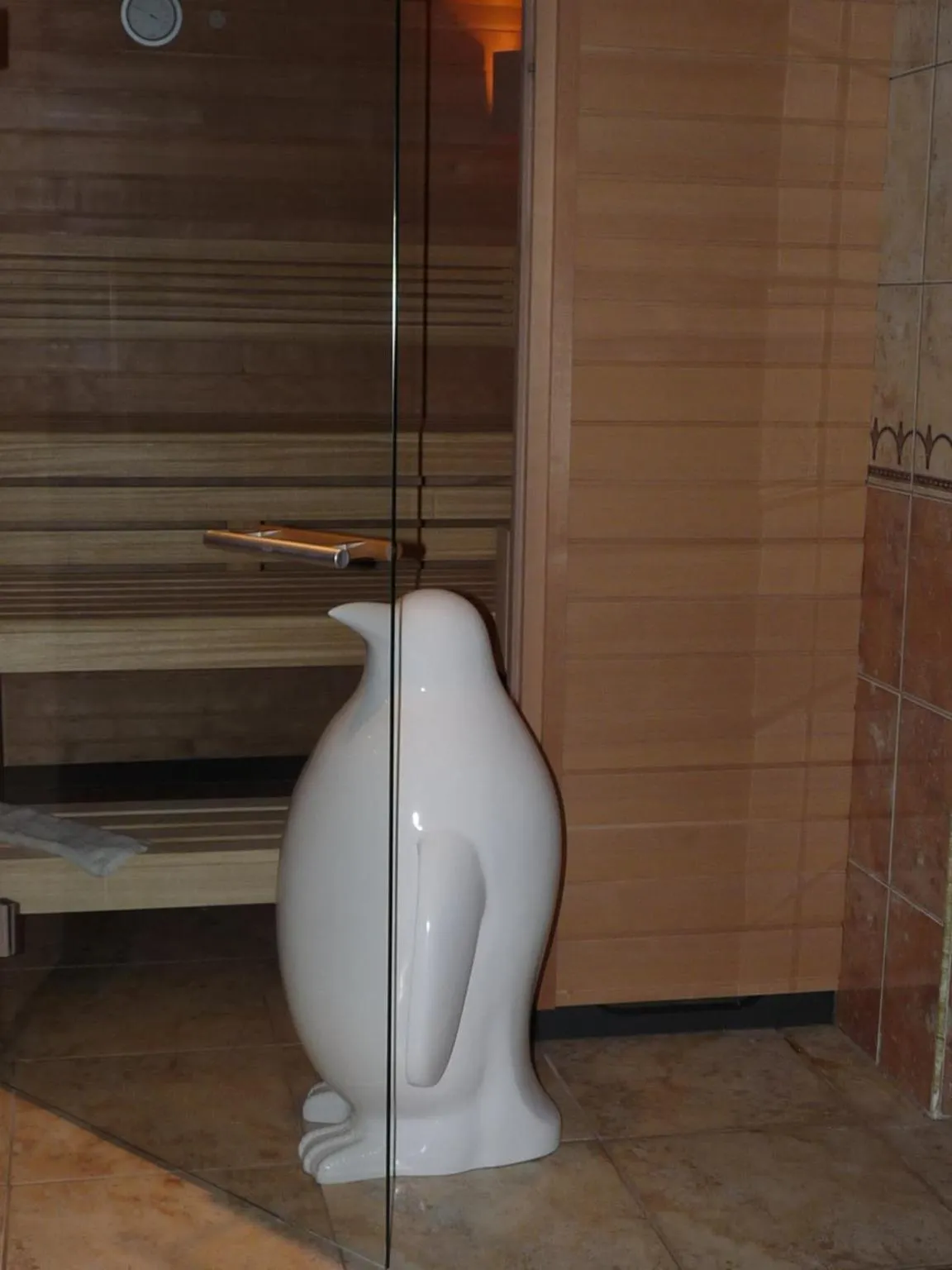 Sauna in Hôtel Le Riquewihr