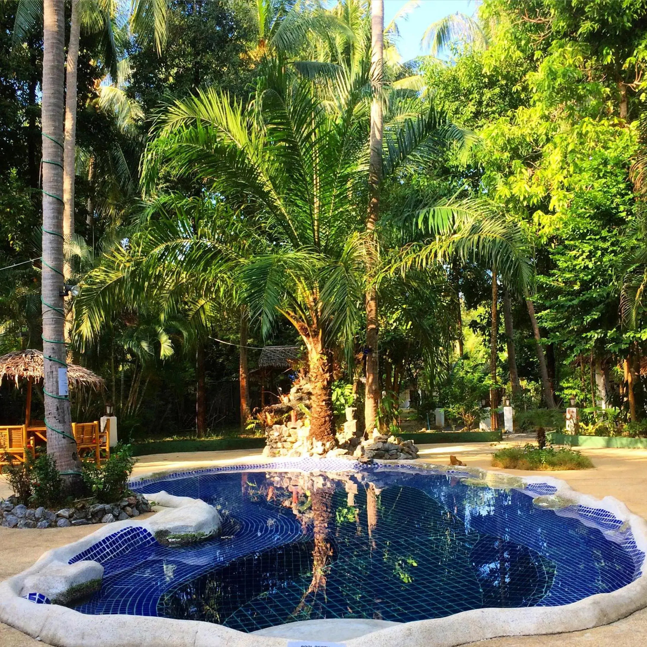 Swimming Pool in Papillon Bungalows